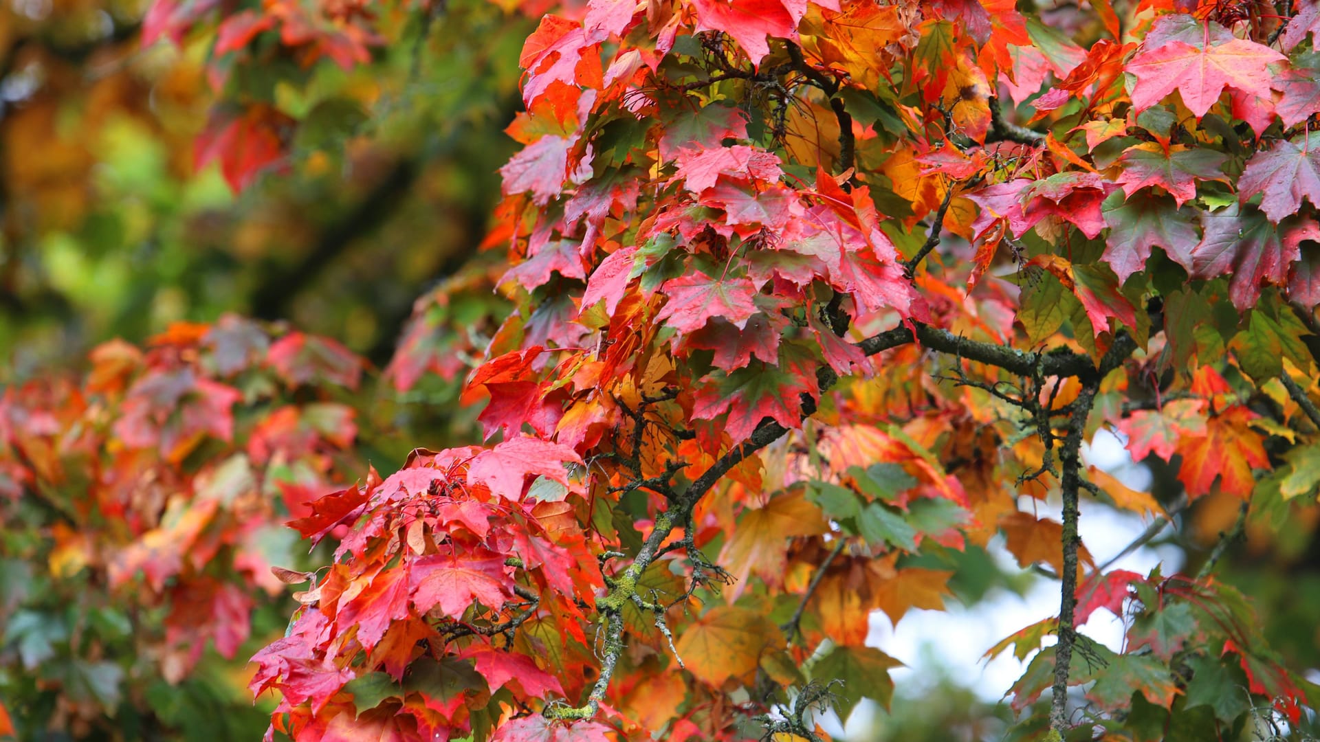 imago images 0836923568