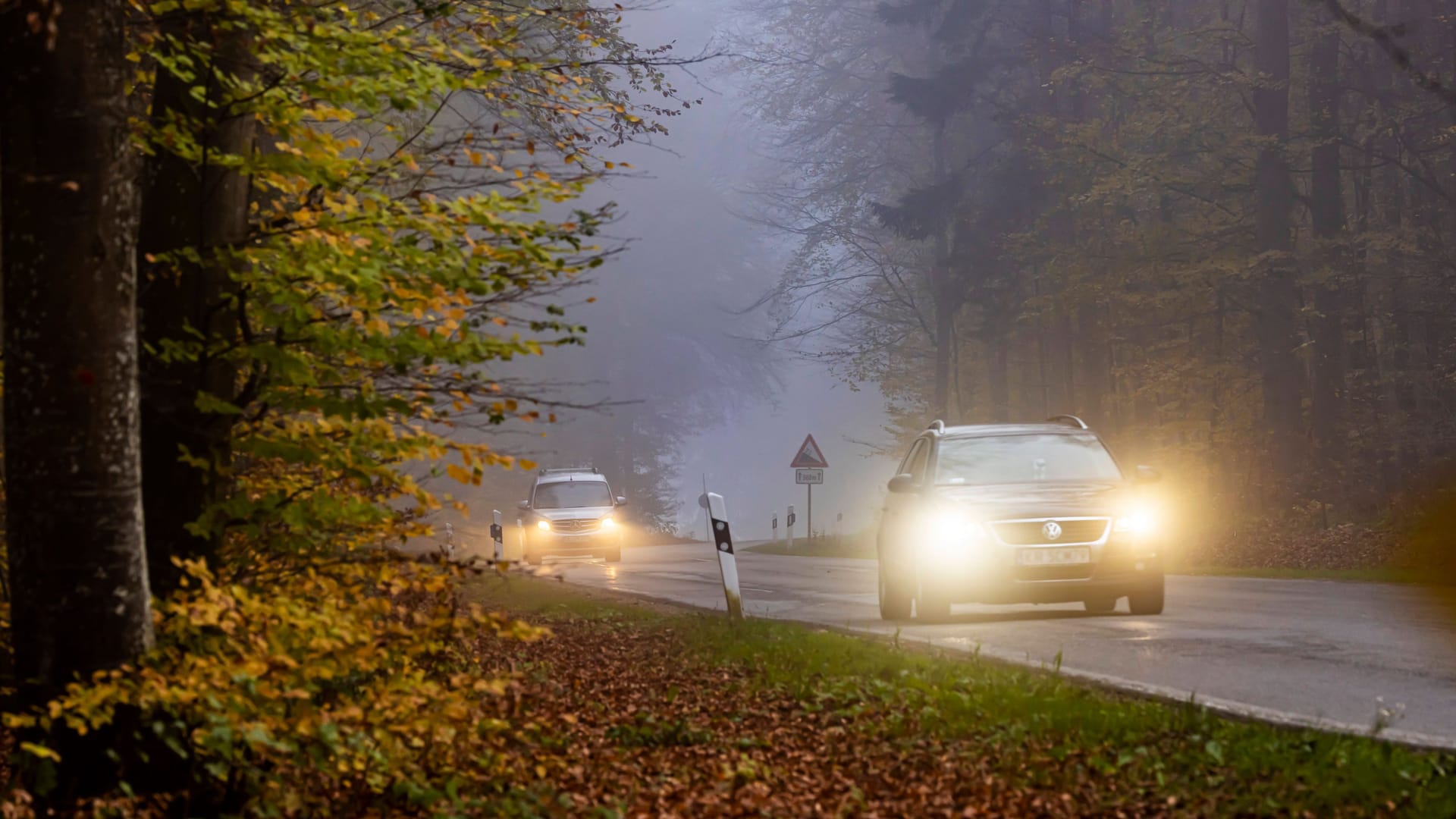Nebel kann sehr plötzlich auftreten: Nur mit Abblendlicht, dem richtigen Abstand und angemessenem Tempo sind Autofahrer dann sicher unterwegs. Nebel kann sehr plötzlich auftreten: Nur mit Abblendlicht, dem richtigen Abstand und angemessenem Tempo sind Autofahrer dann sicher unterwegs.
