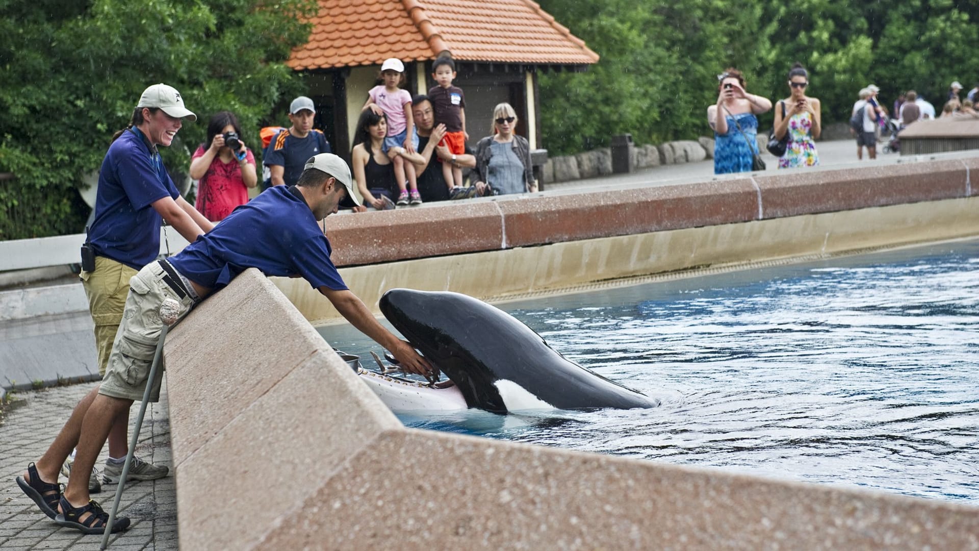 Marineland Marineland