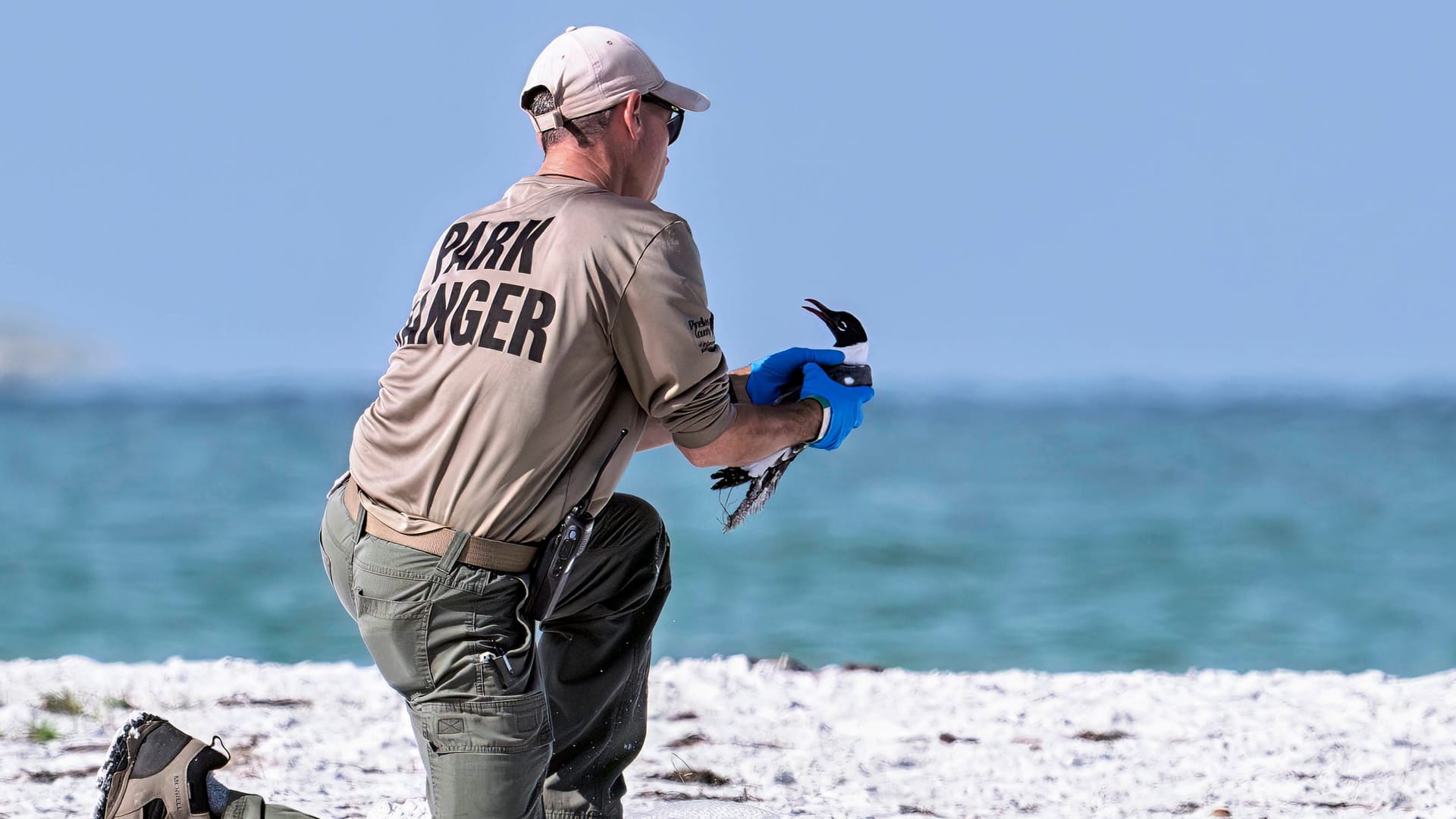 Ein Park Ranger: Die Arbeitsverträge nicht essenzieller Regierungsmitarbeiter können im Shutdown auf Eis gelegt werden. Ein Park Ranger: Die Arbeitsverträge nicht essenzieller Regierungsmitarbeiter können im Shutdown auf Eis gelegt werden.