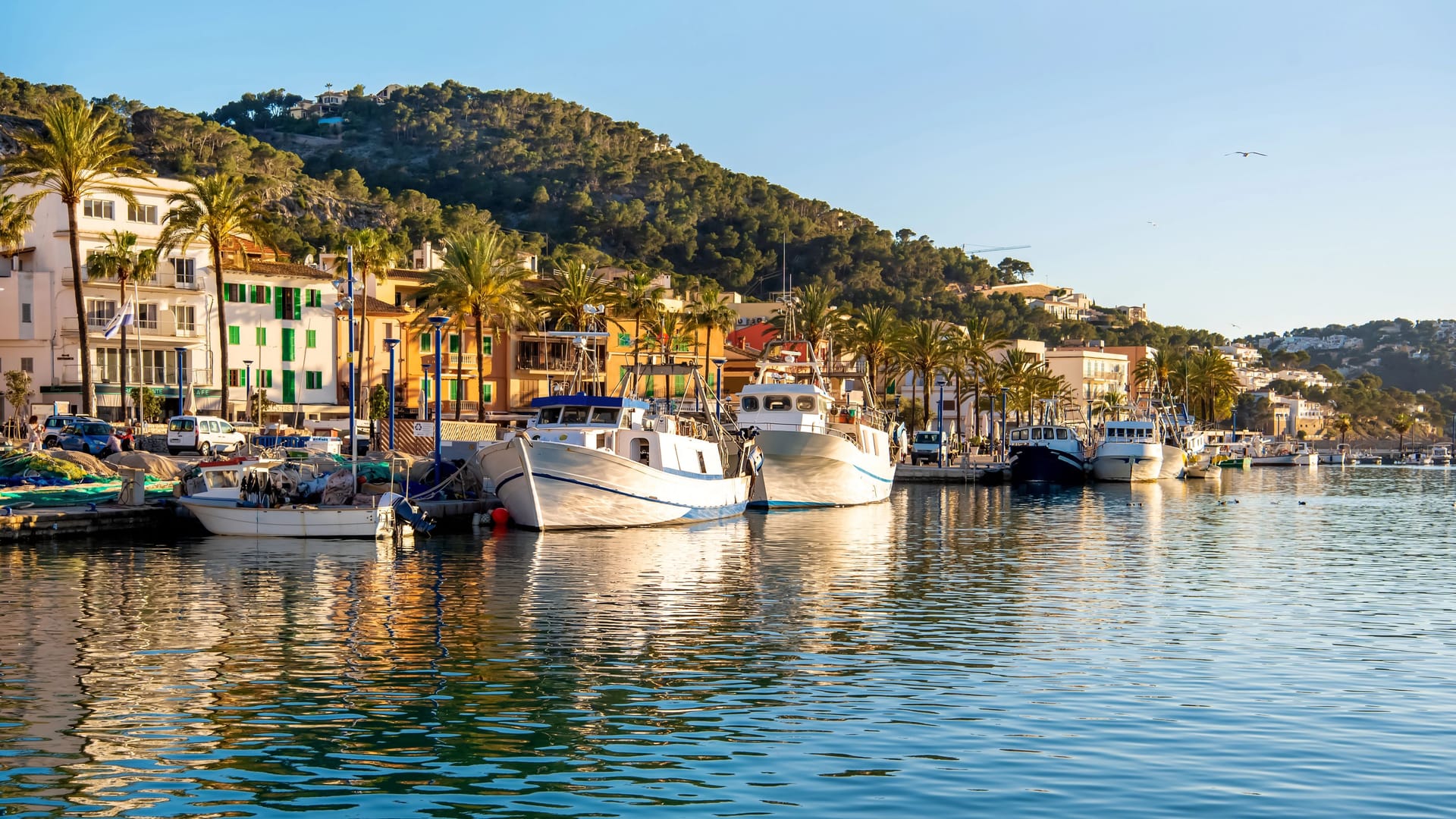 Der Hafen von Port d’Andratx auf Mallorca: Hier wurde eine Diebesbande geschnappt, die eigens für einen Raubzug nach Mallorca gereist war.