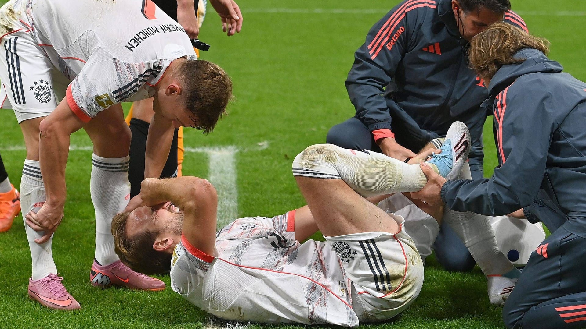 imago images 1067360808