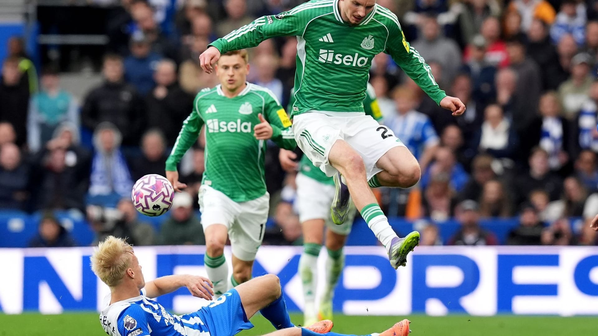 Brighton & Hove Albion - Newcastle United Brighton & Hove Albion - Newcastle United