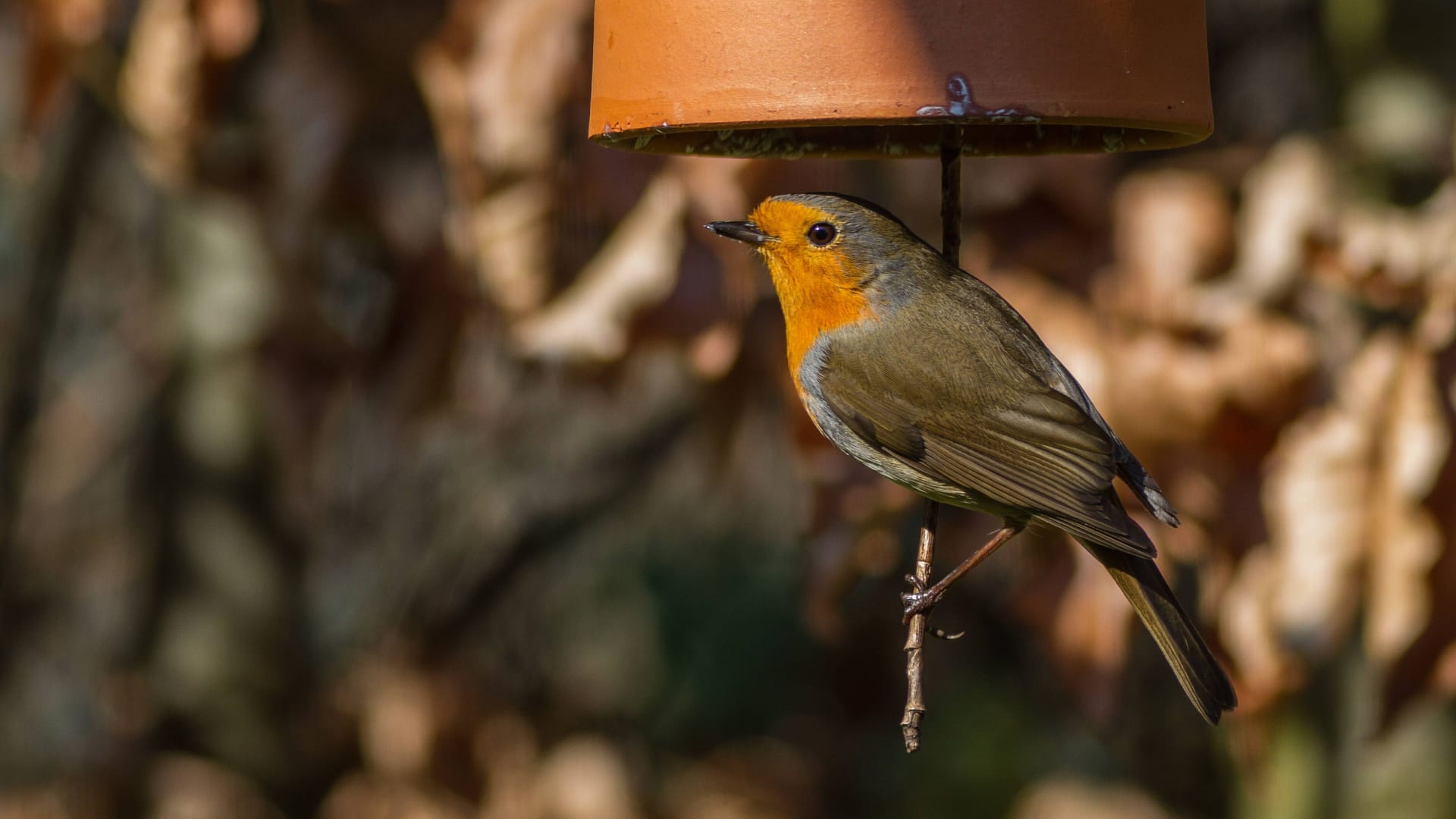 imago images 0301290598 imago images 0301290598