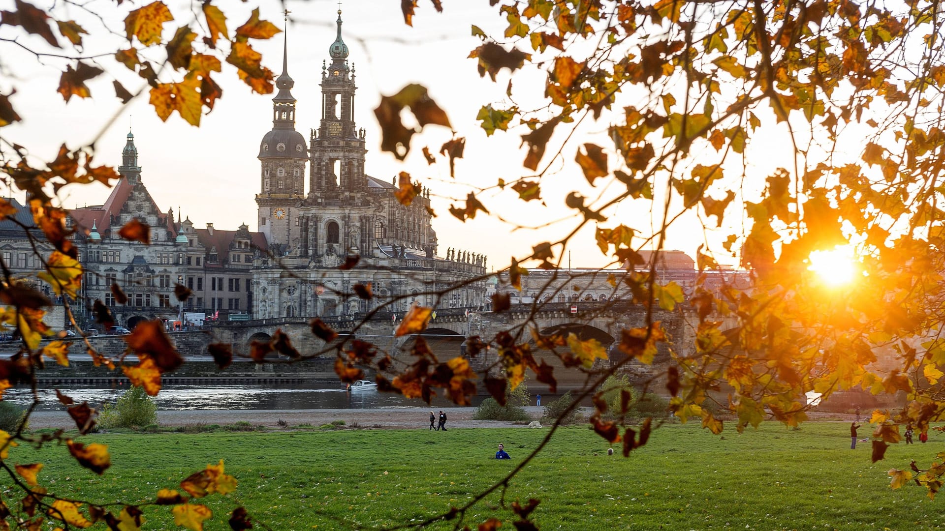 Ein goldener Herbsttag in Dresden (Archivbild).