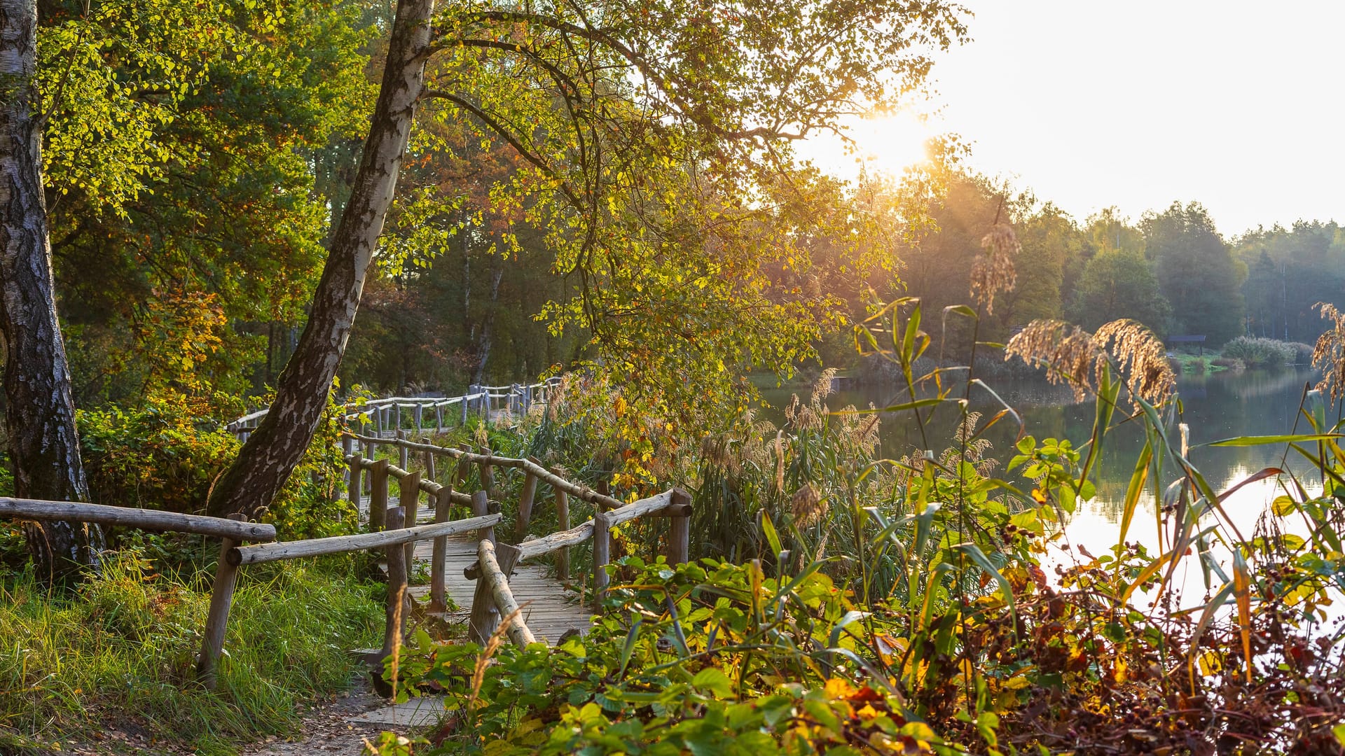 imago images 0807746309 imago images 0807746309