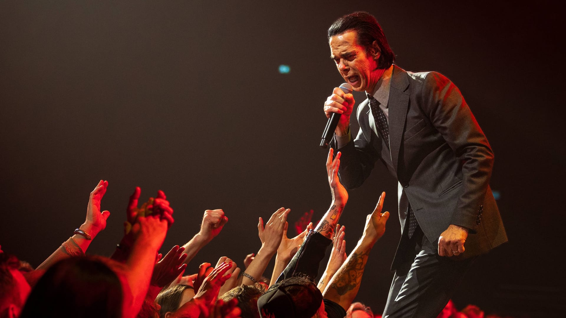 Nick Cave And The Bad Seeds (Archivbild): Die Band spielt ein Konzert in Dresden.