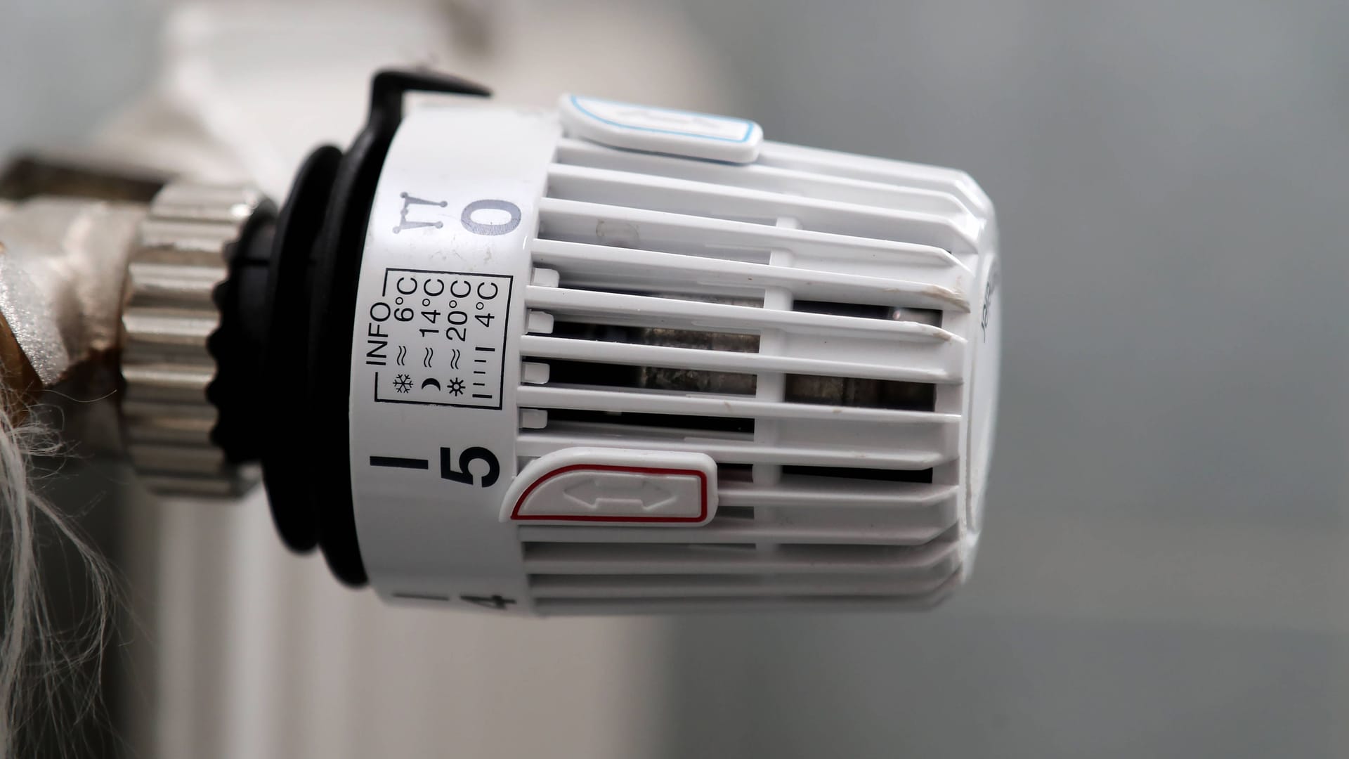 imago images 0836289562