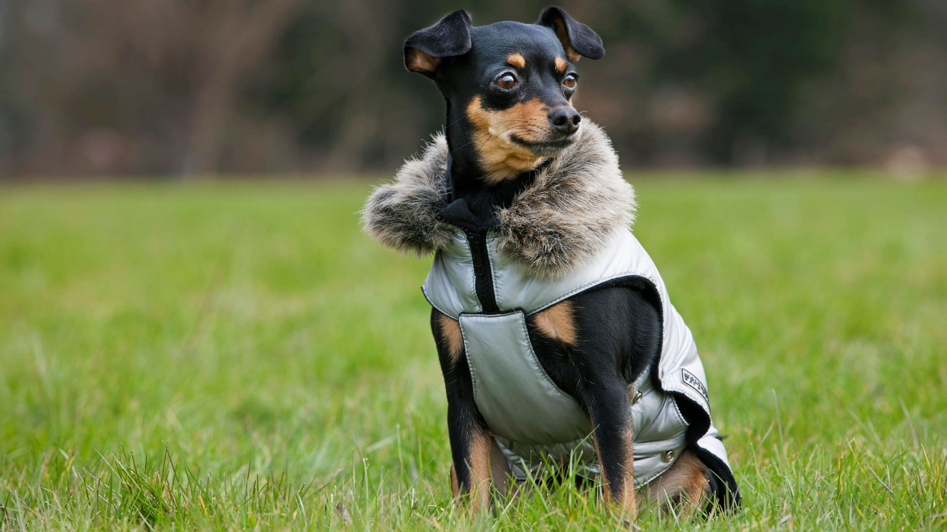 imago images 0259667351 imago images 0259667351