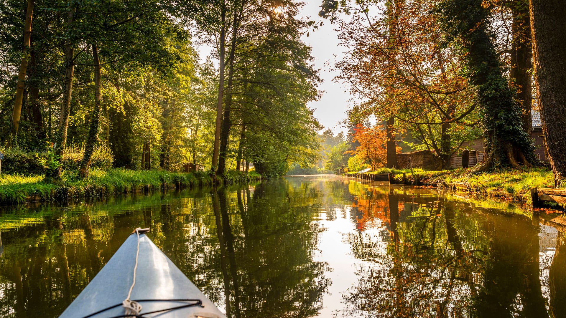 imago images 0804902554