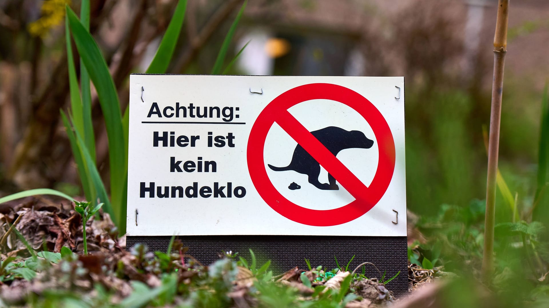 imago images 0808035551