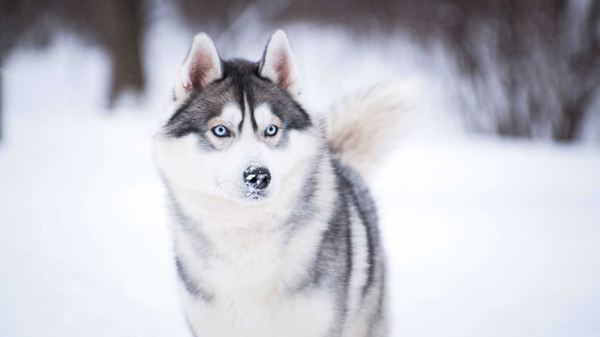 imago images 0832599744