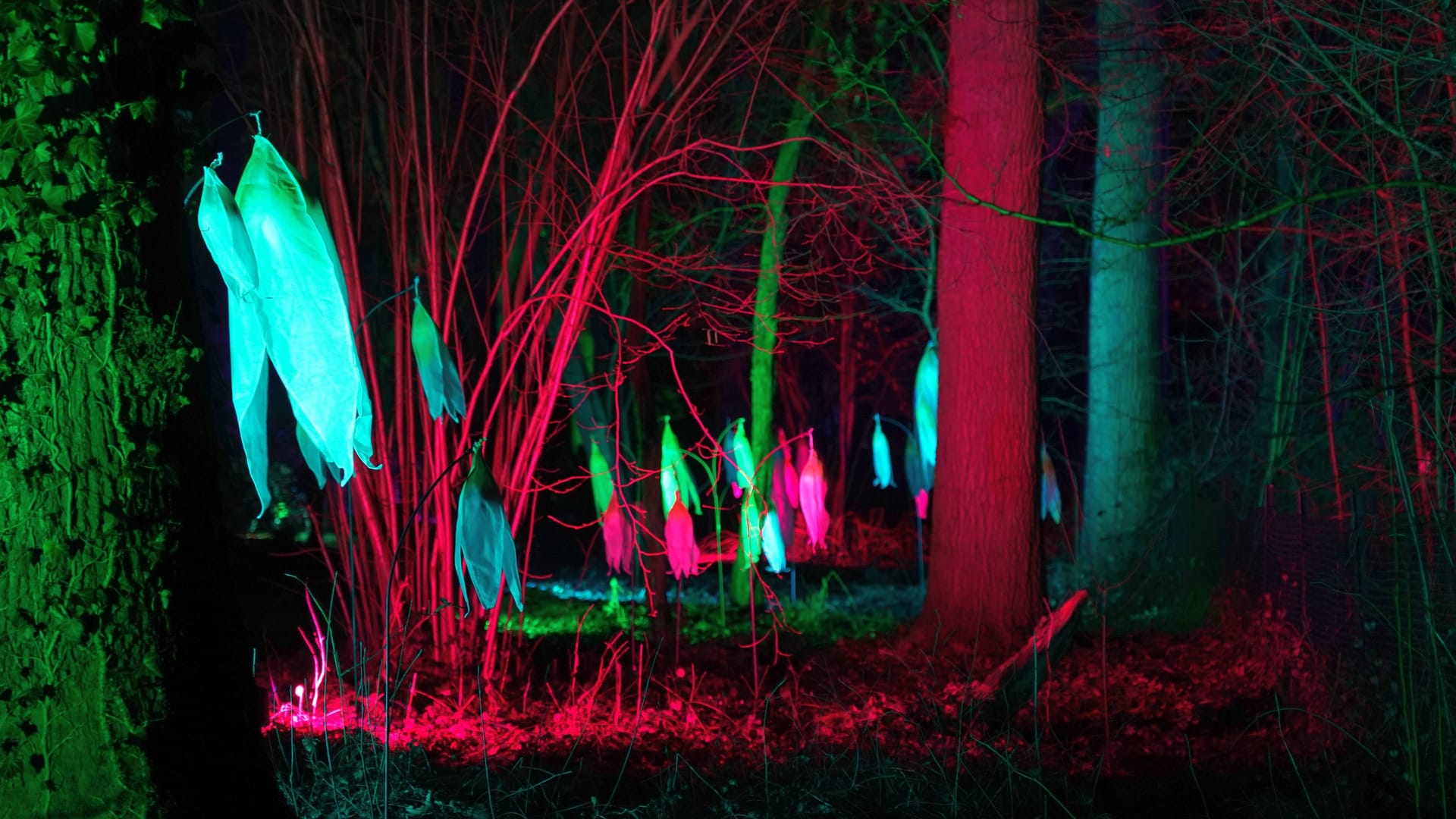 imago images 0805036120 imago images 0805036120