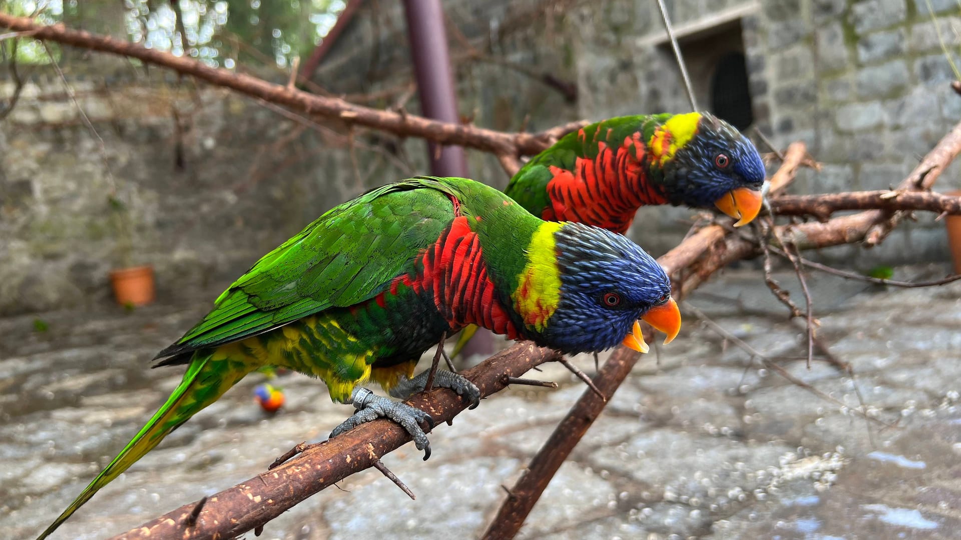 imago images 0479229457 imago images 0479229457