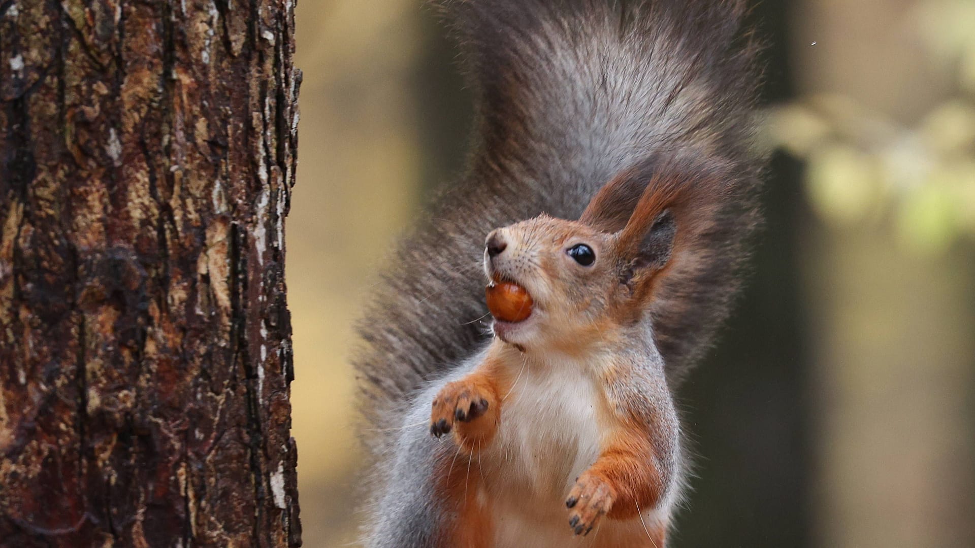 imago images 0837143303 imago images 0837143303