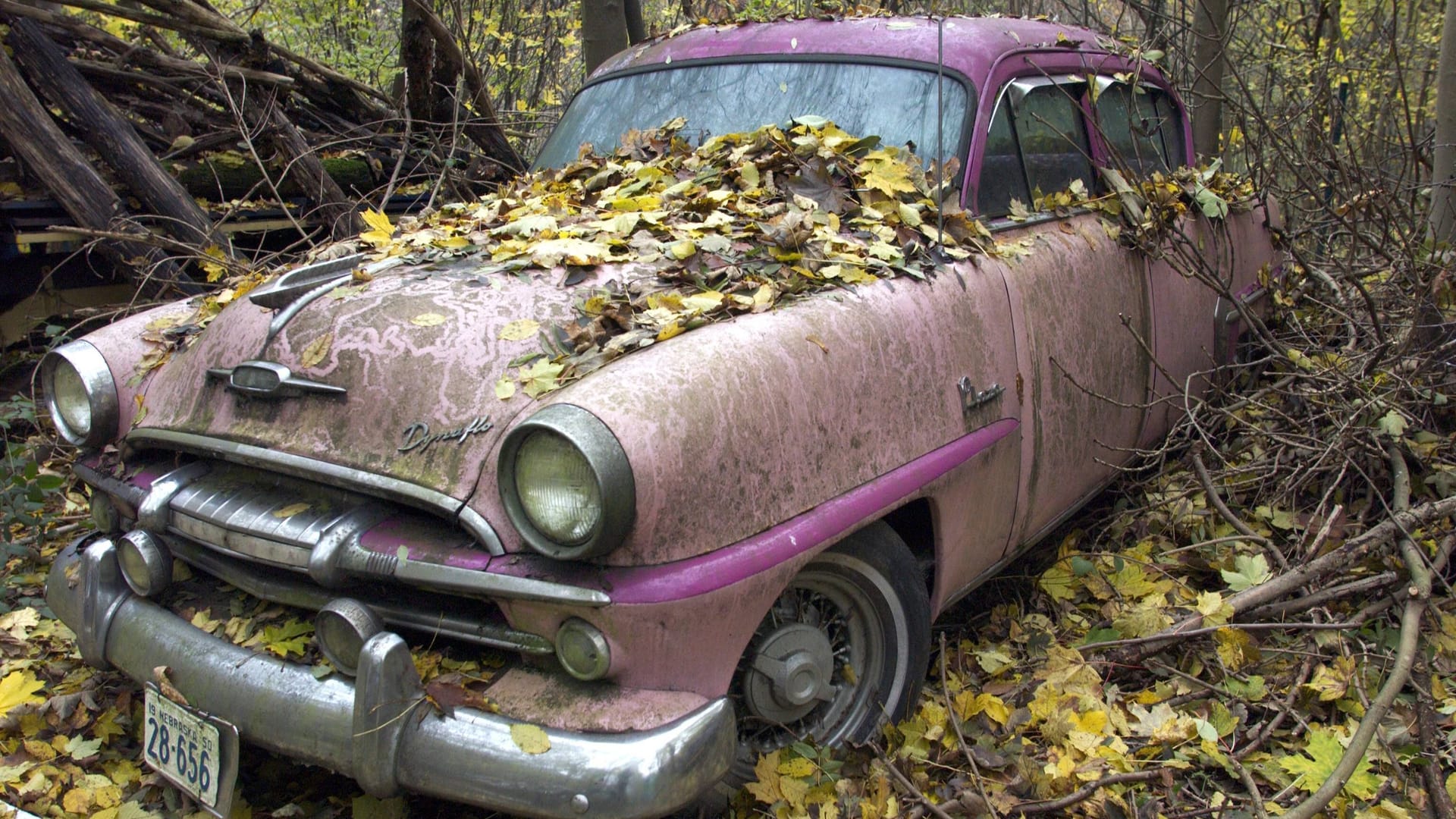 Buick Dynaflow Oldtimer-Wrack im Autoskulpturenpark im Neandertal.