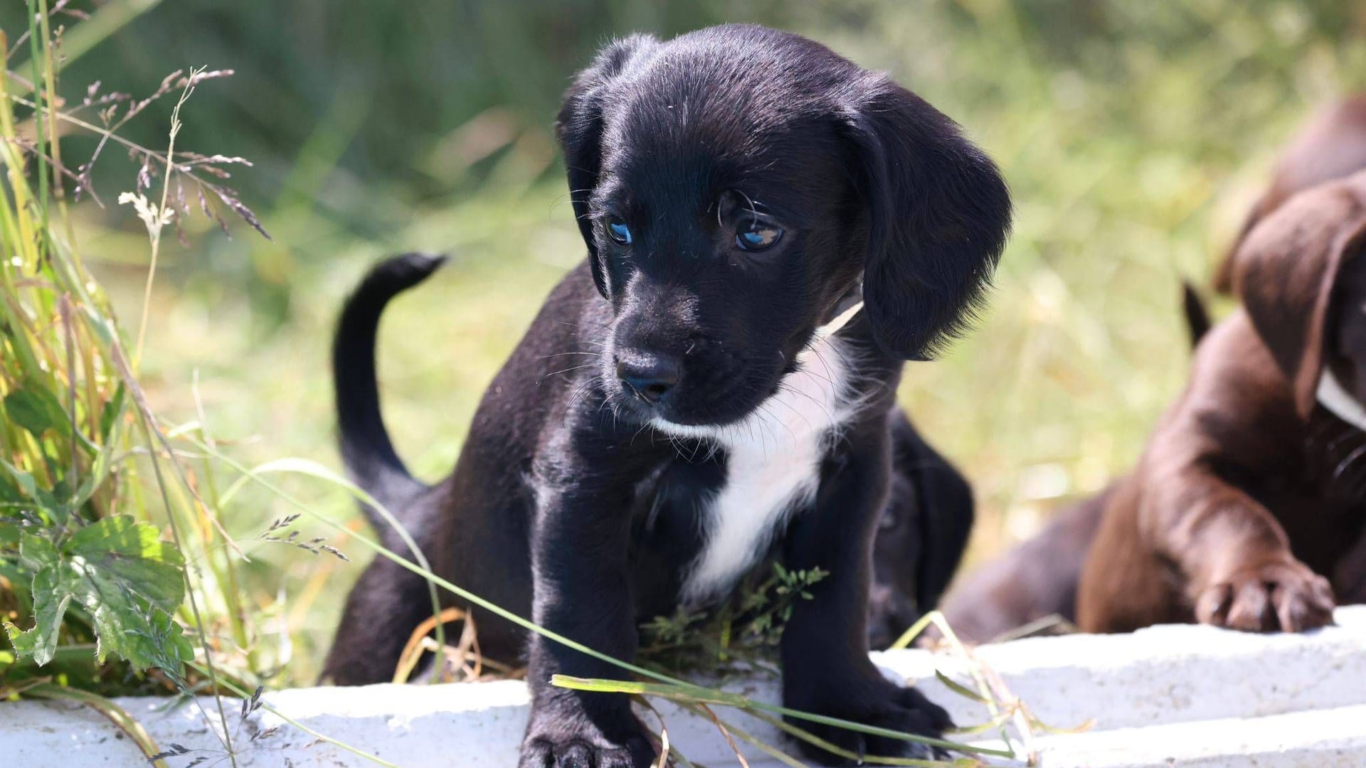 imago images 0701547665 imago images 0701547665