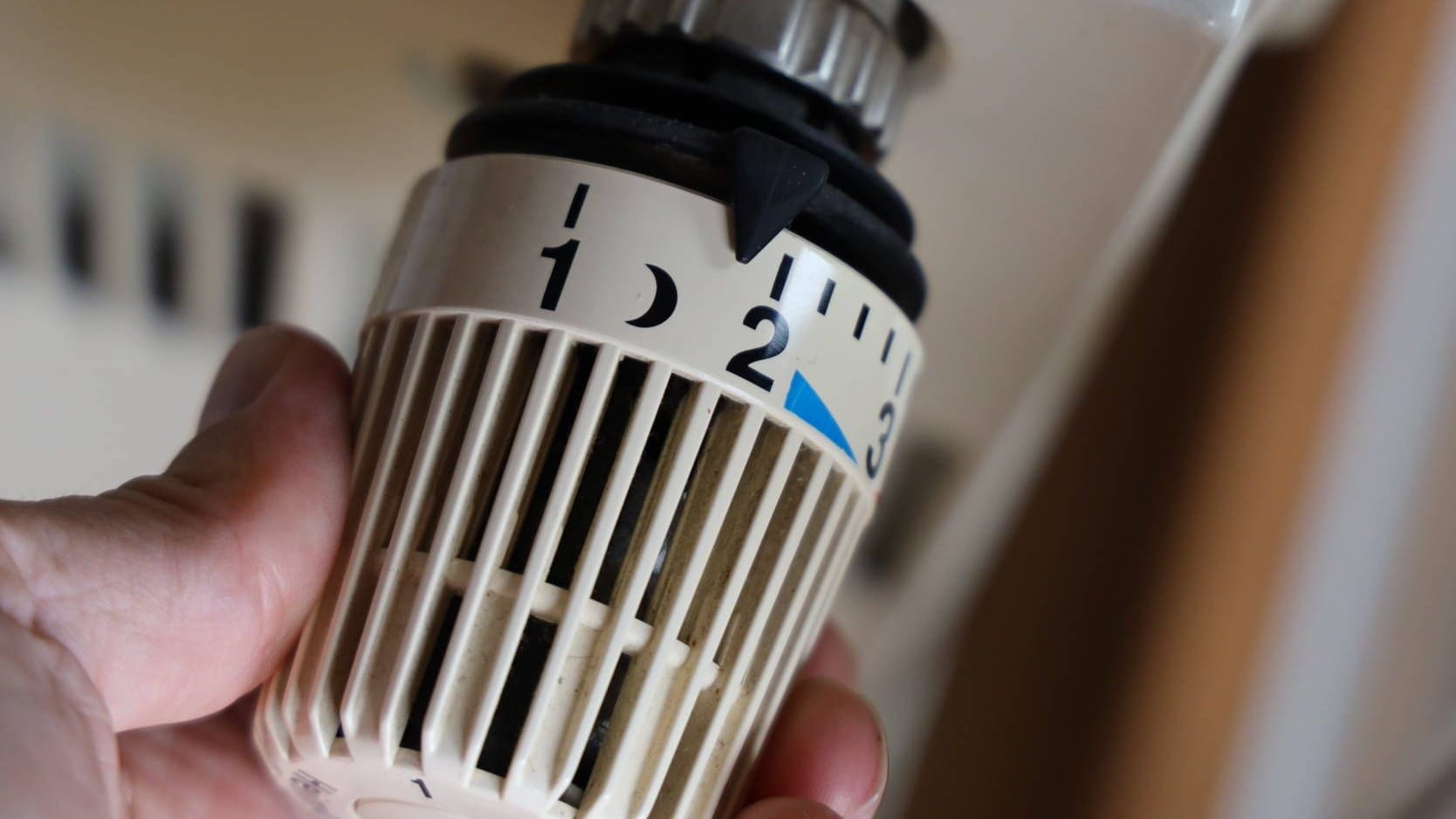 imago images 0836996438 imago images 0836996438