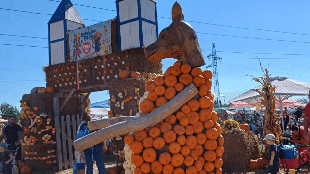 Das Reich der Kürbisse": Dort gibt es zahlreiche tierische Figuren. Das Reich der Kürbisse": Dort gibt es zahlreiche tierische Figuren.