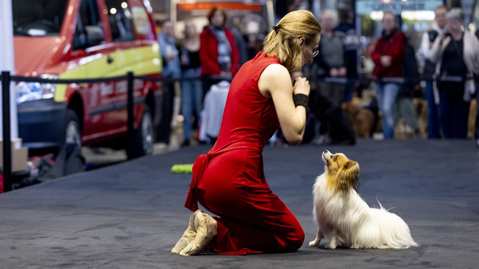 Gemeinsames Tänzchen: Die Nationalmannschaft im DogDance zeigt am Wochenende, was sie kann.