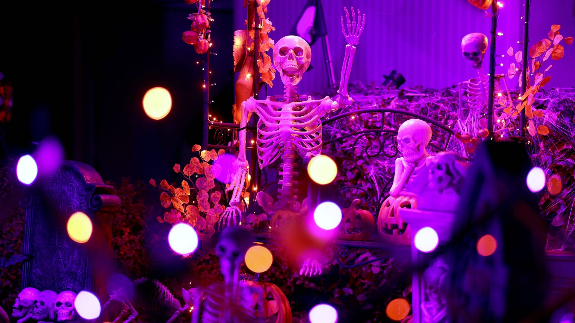 imago images 0772773815 imago images 0772773815