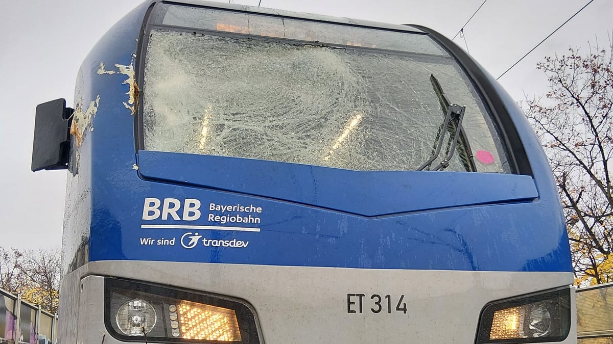 München: Baum stürzt auf fahrenden Regionalzug mit 400 Passagieren