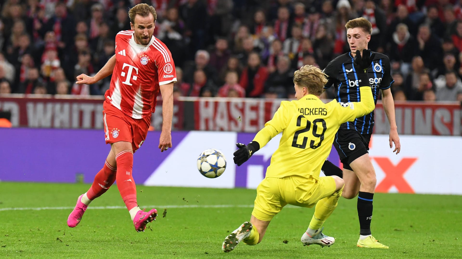 Gnadenlos: Bayern-Torjäger Kane vor Brügge-Torwart Jackers. Gnadenlos: Bayern-Torjäger Kane vor Brügge-Torwart Jackers.