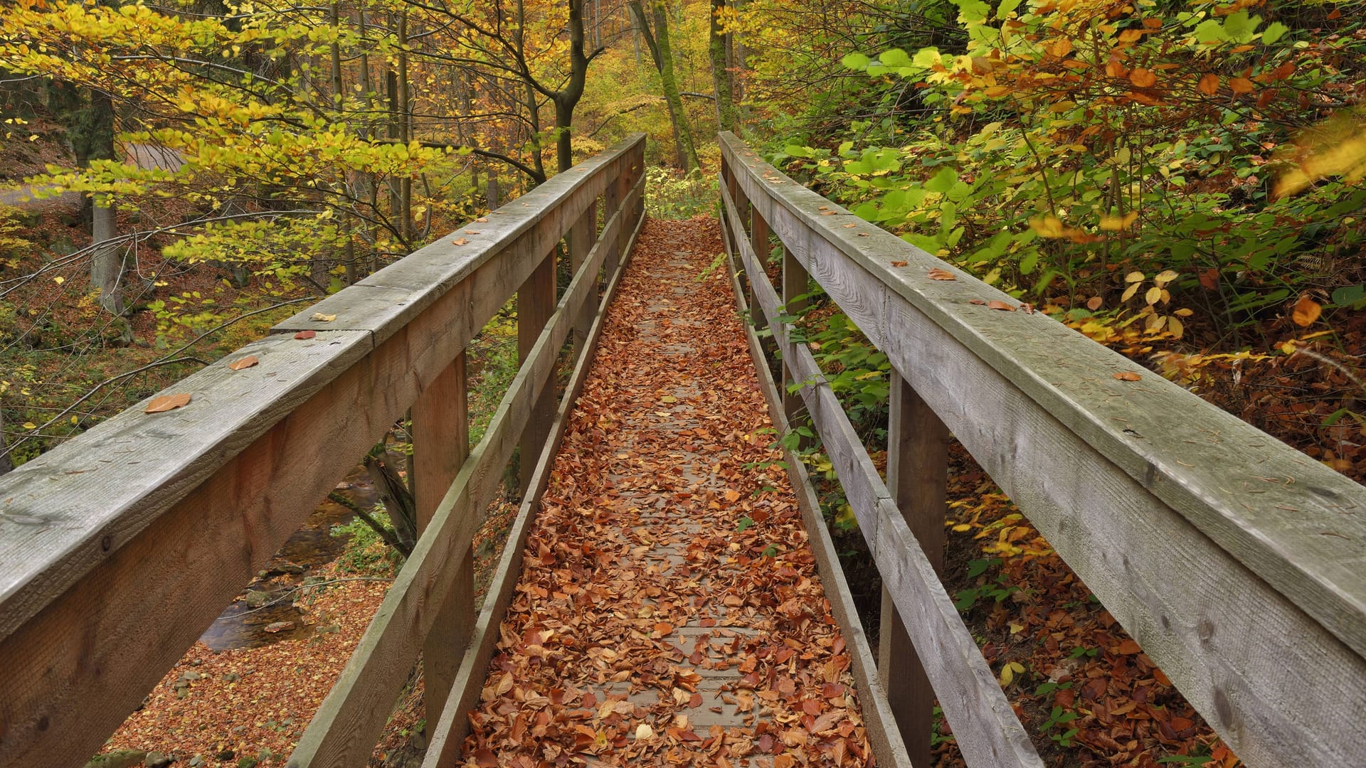 imago 90960527 imago 90960527