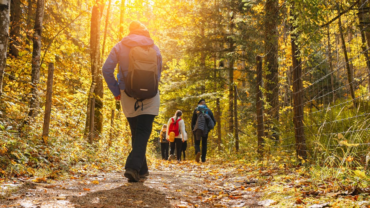 Braunschweig Ausflug: Wanderwege der Region – Riddagshausen bis Harz