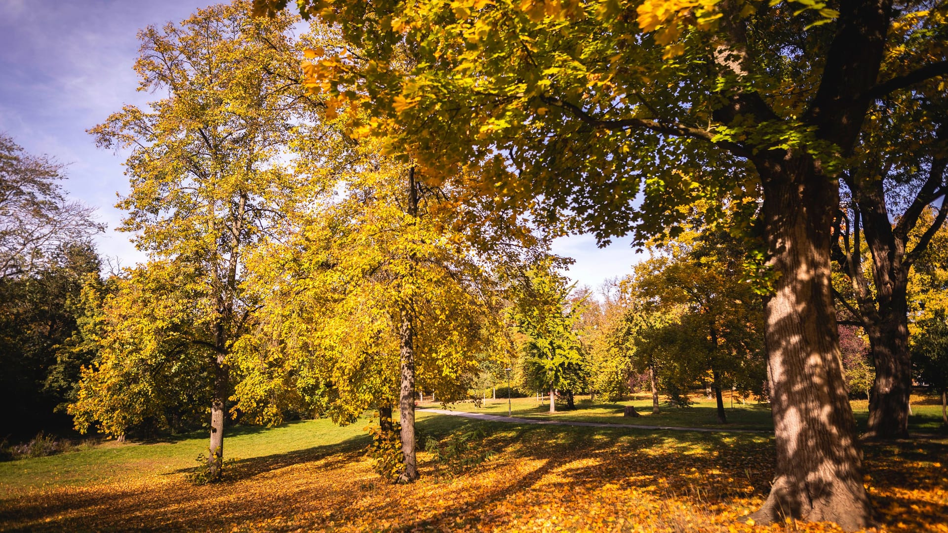 imago images 0837757776 imago images 0837757776