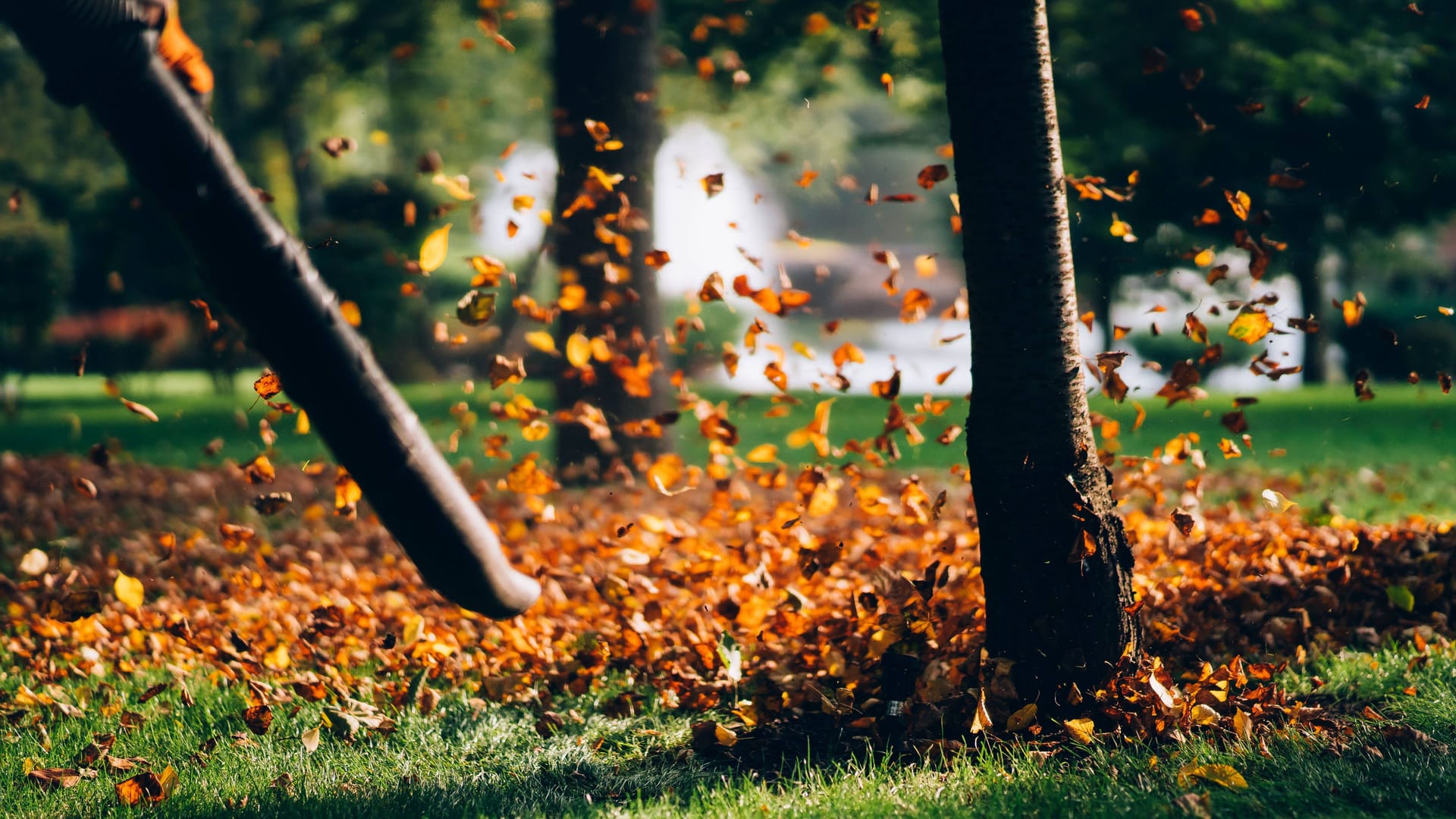 imago images 0775727118