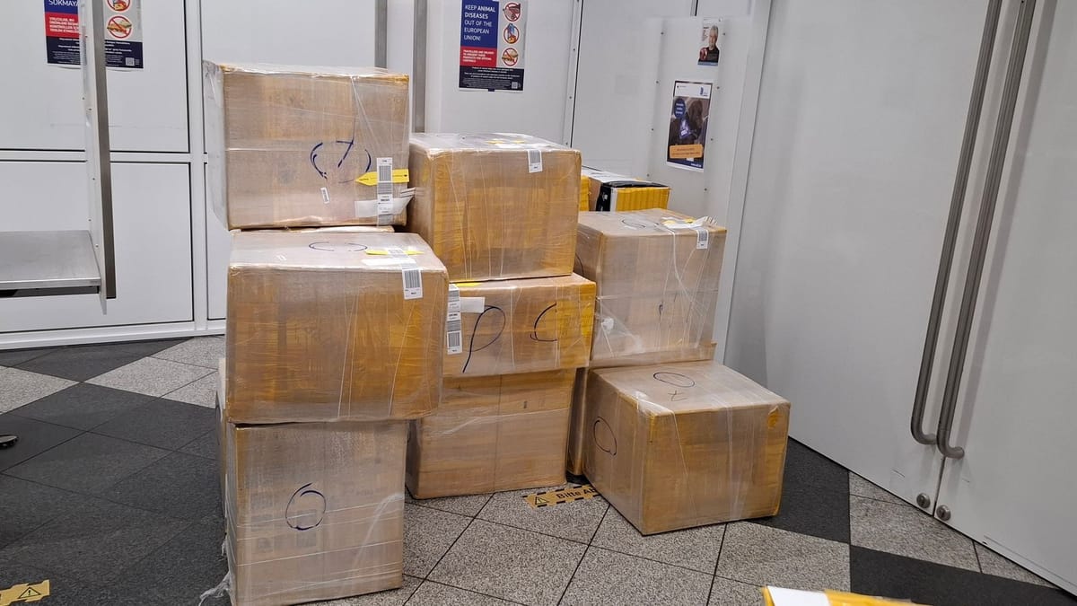 Ehepaar mit 600.000 Zigaretten erwischt