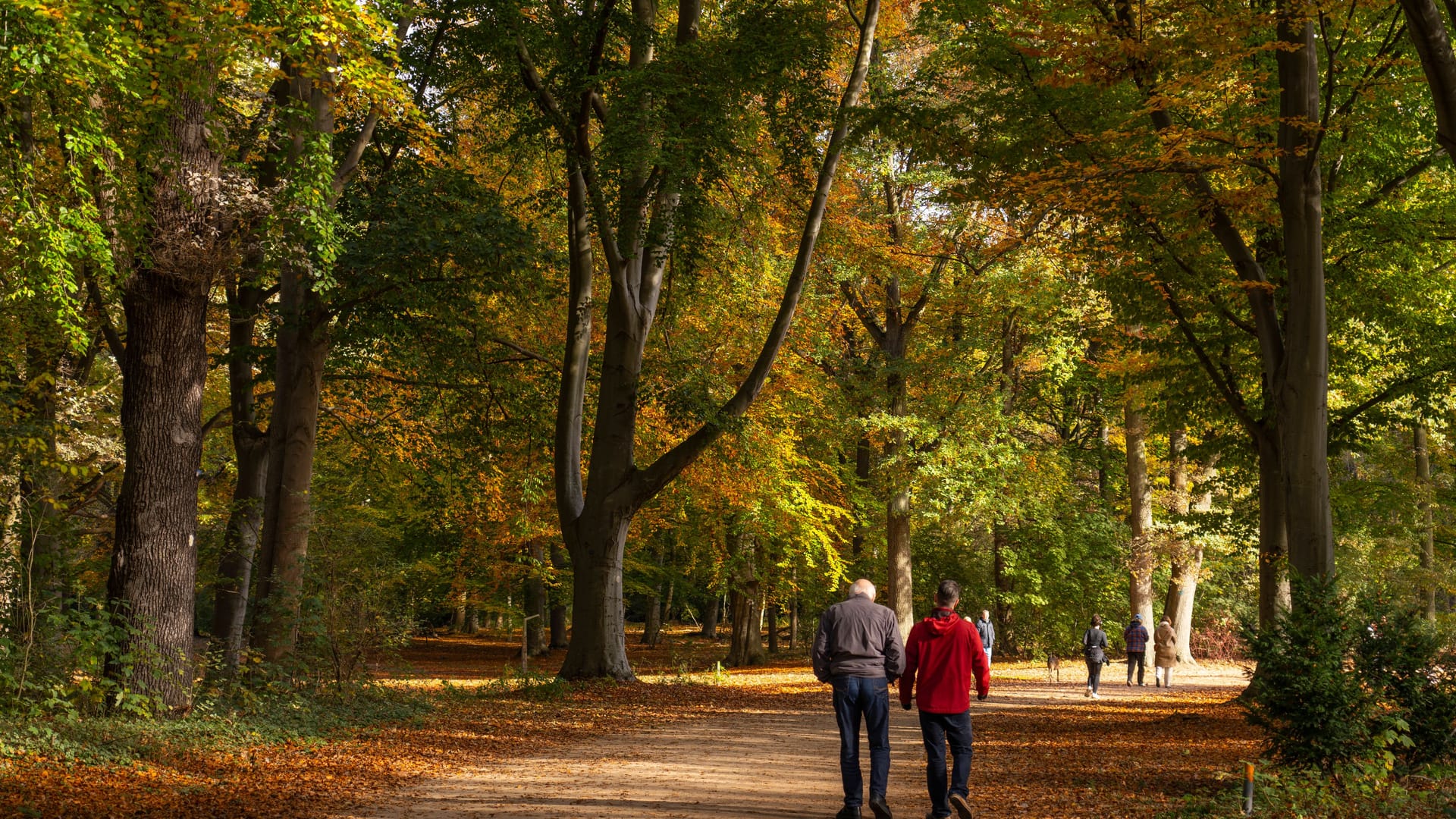 imago images 0777783783 imago images 0777783783