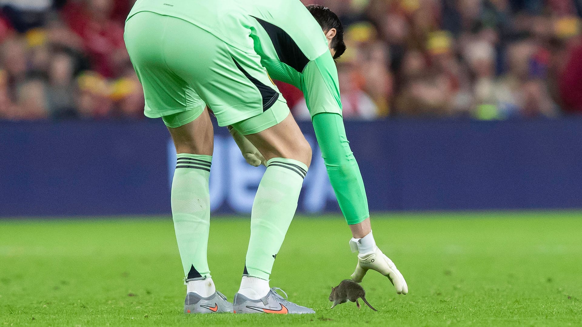 imago images 1067746395