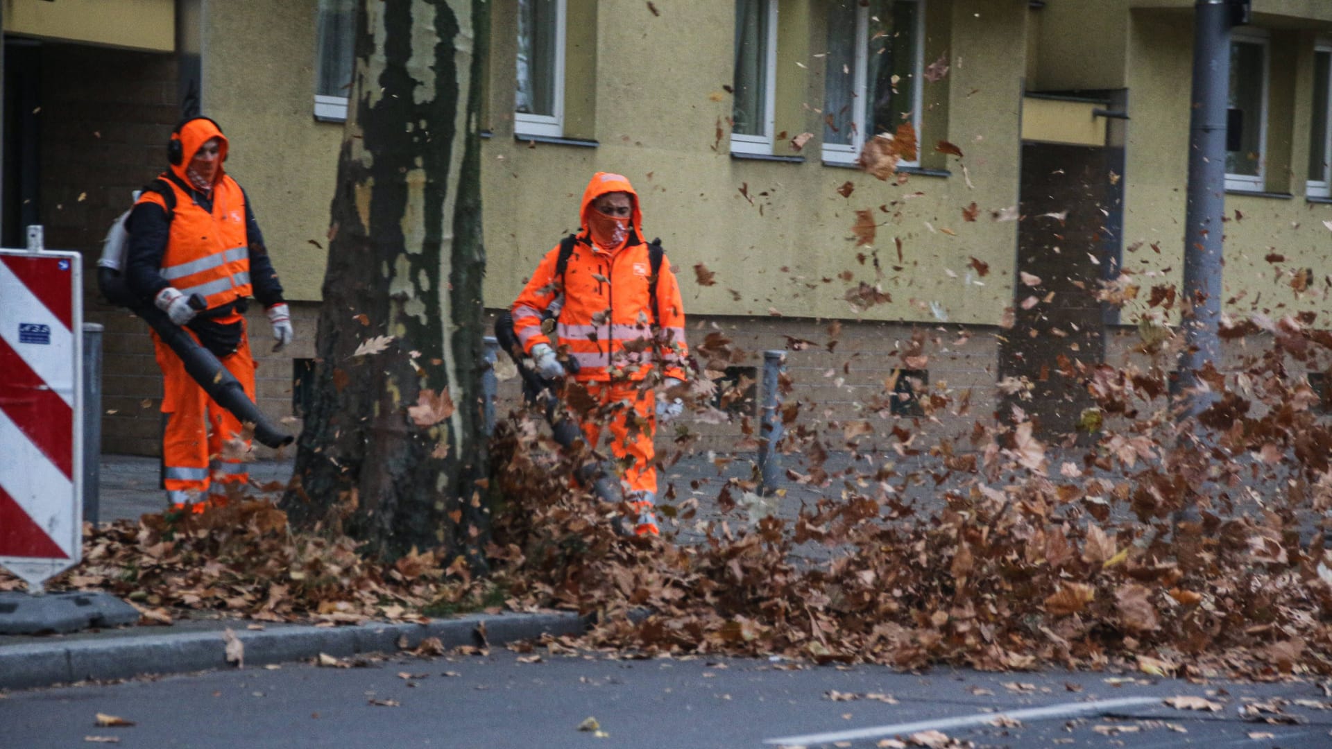 Mitarbeiter der Stadtreinigung sprengen Blätter. Ein niedersächsischer Landkreis will Asylbewerbern nun ehrenamtlich arbeiten lassen. (Symbolbild) Mitarbeiter der Stadtreinigung sprengen Blätter. Ein niedersächsischer Landkreis will Asylbewerbern nun ehrenamtlich arbeiten lassen. (Symbolbild)