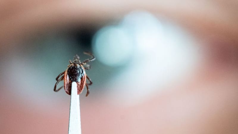 urn:newsml:dpa.com:20090101:251012-935-886559 urn:newsml:dpa.com:20090101:251012-935-886559