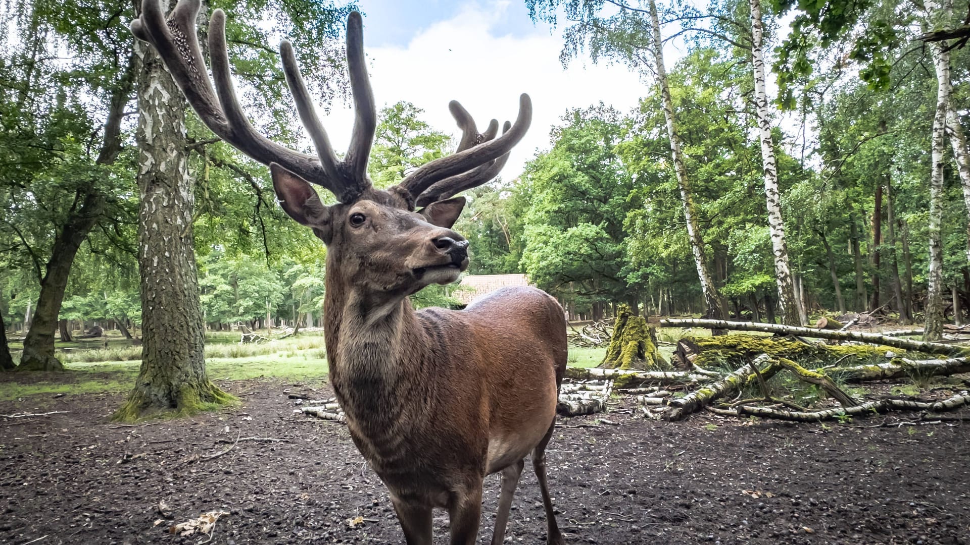 imago images 0492732603 imago images 0492732603