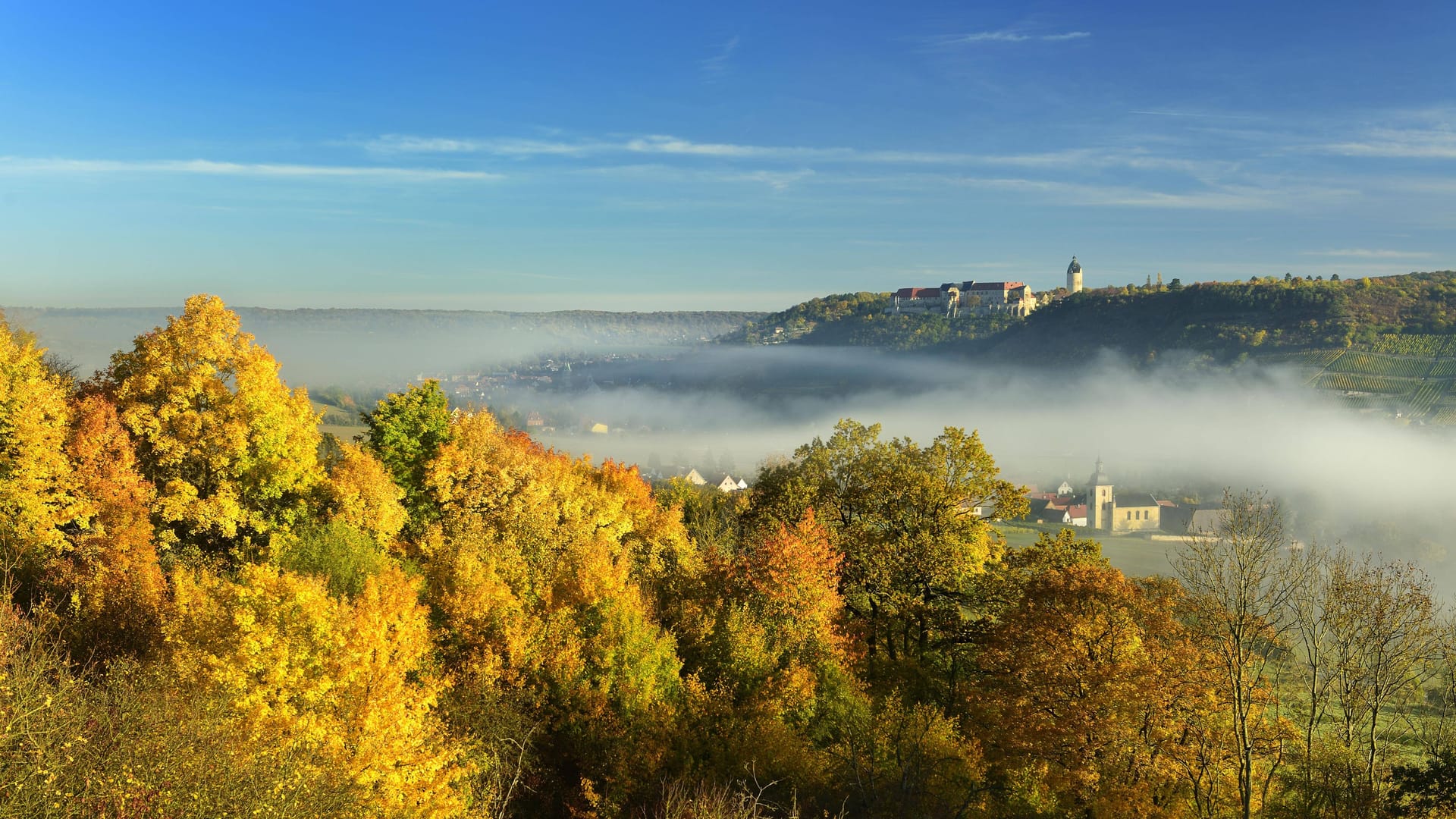 imago 80600859 imago 80600859