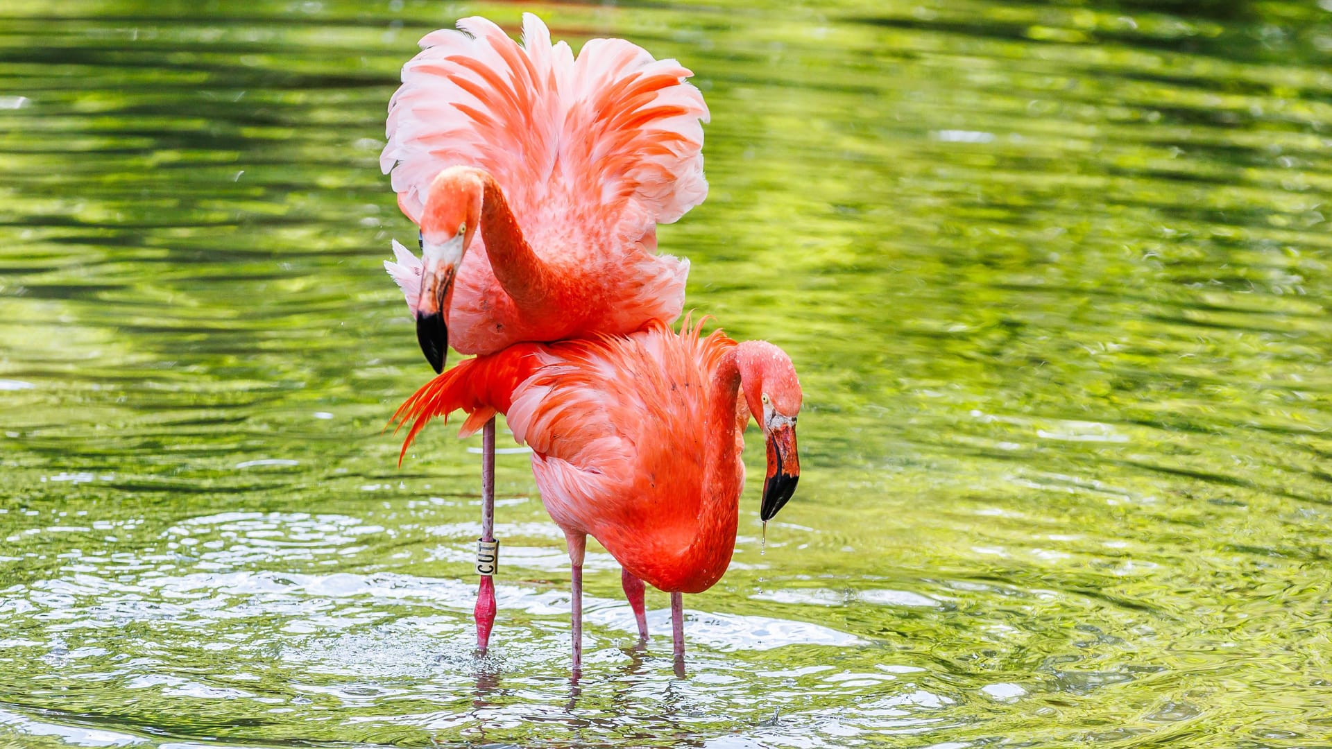 imago images 0818255584 imago images 0818255584