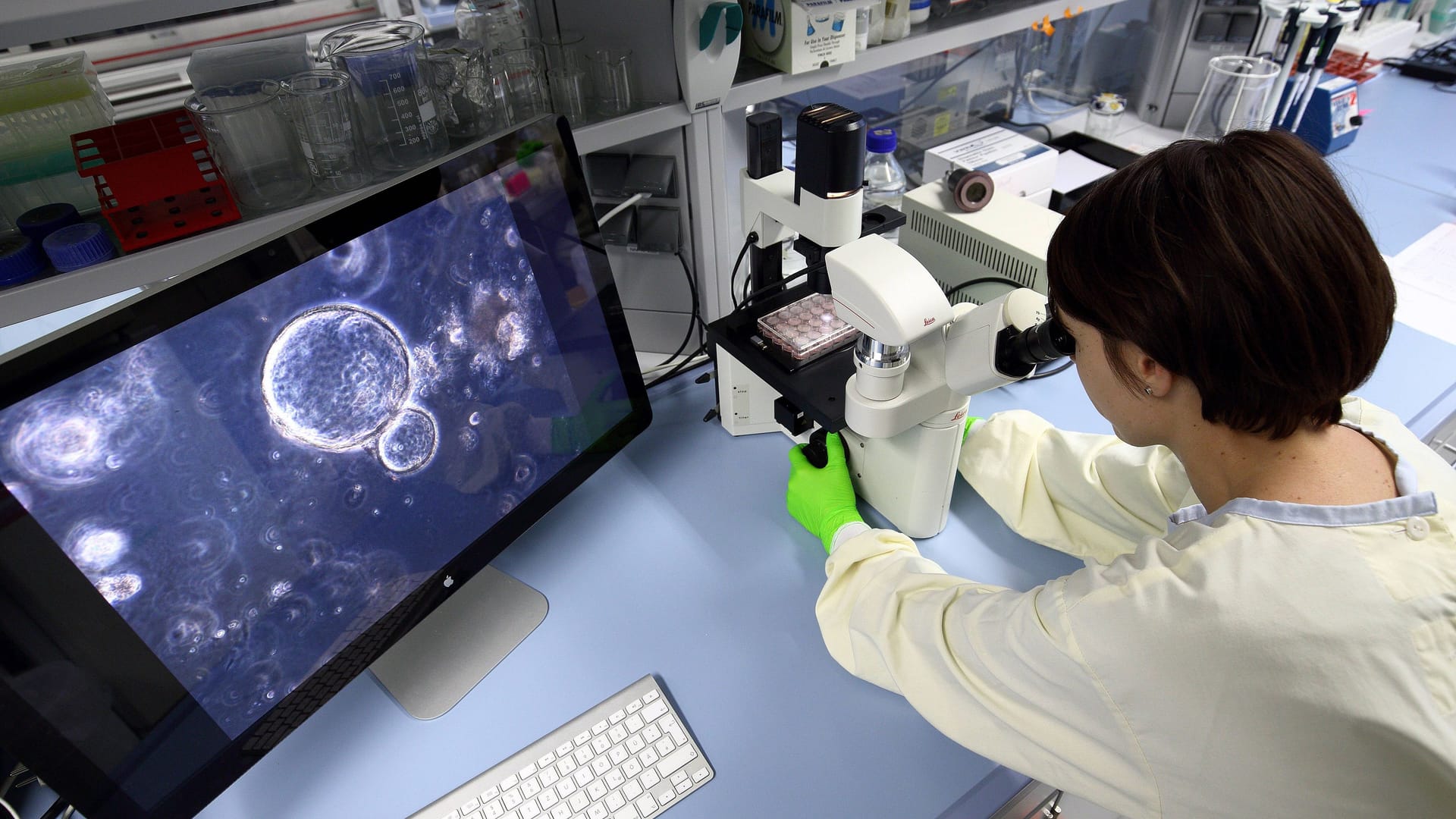 imago 81378043 imago 81378043