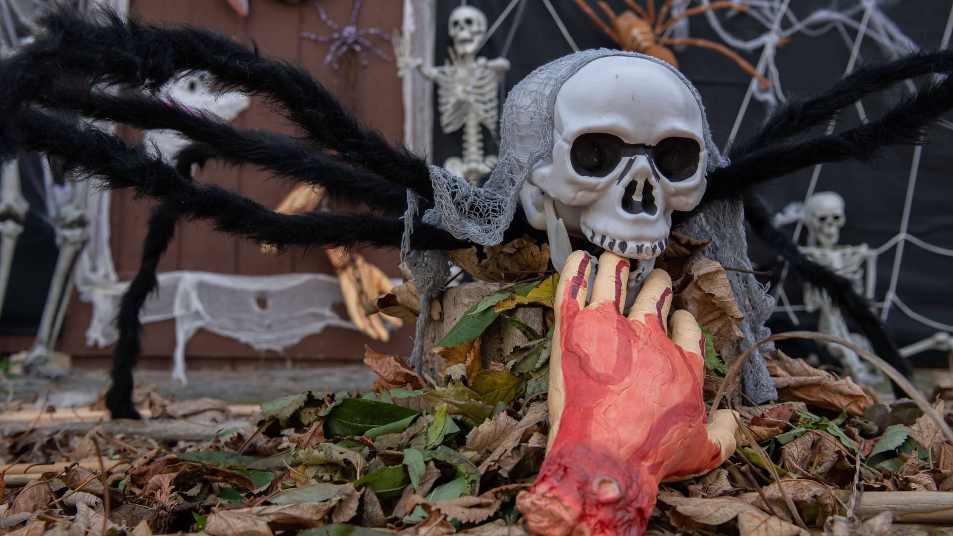 Blick auf ein dekoriertes Halloween-Haus (Archivbild) Blick auf ein dekoriertes Halloween-Haus (Archivbild)