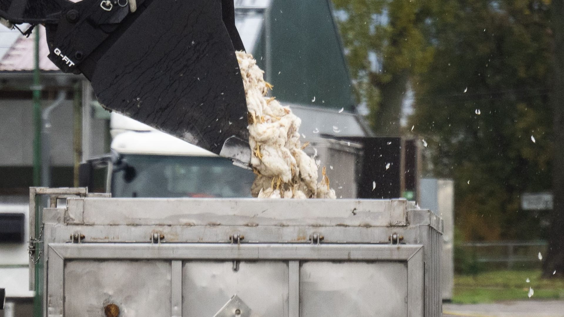 urn:newsml:dpa.com:20090101:251027-935-917635 urn:newsml:dpa.com:20090101:251027-935-917635