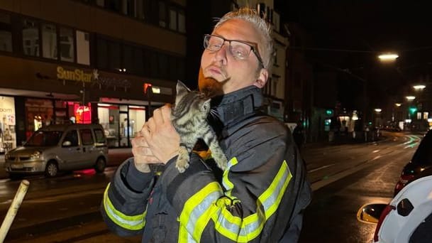 Erst musste die Feuerwehr dem Kätzchen gut zureden, dann griff einer der Retter beherzt zu. Erst musste die Feuerwehr dem Kätzchen gut zureden, dann griff einer der Retter beherzt zu.