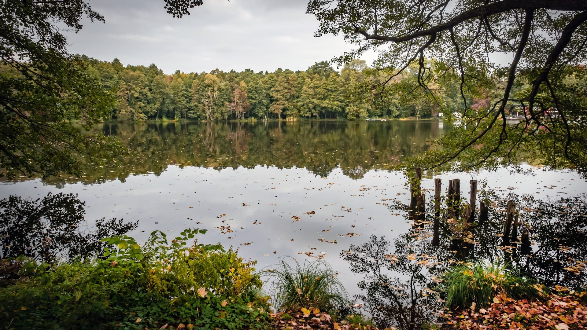 imago images 170929252