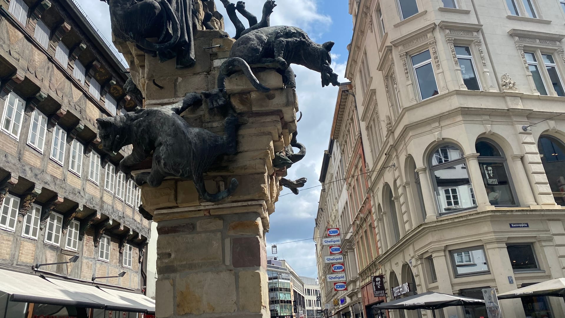 Die Braunschweiger Innenstadt (Archivbild): rund 42 Millionen Menschen besuchten das Zentrum in einem Jahr. Die Braunschweiger Innenstadt (Archivbild): rund 42 Millionen Menschen besuchten das Zentrum in einem Jahr.