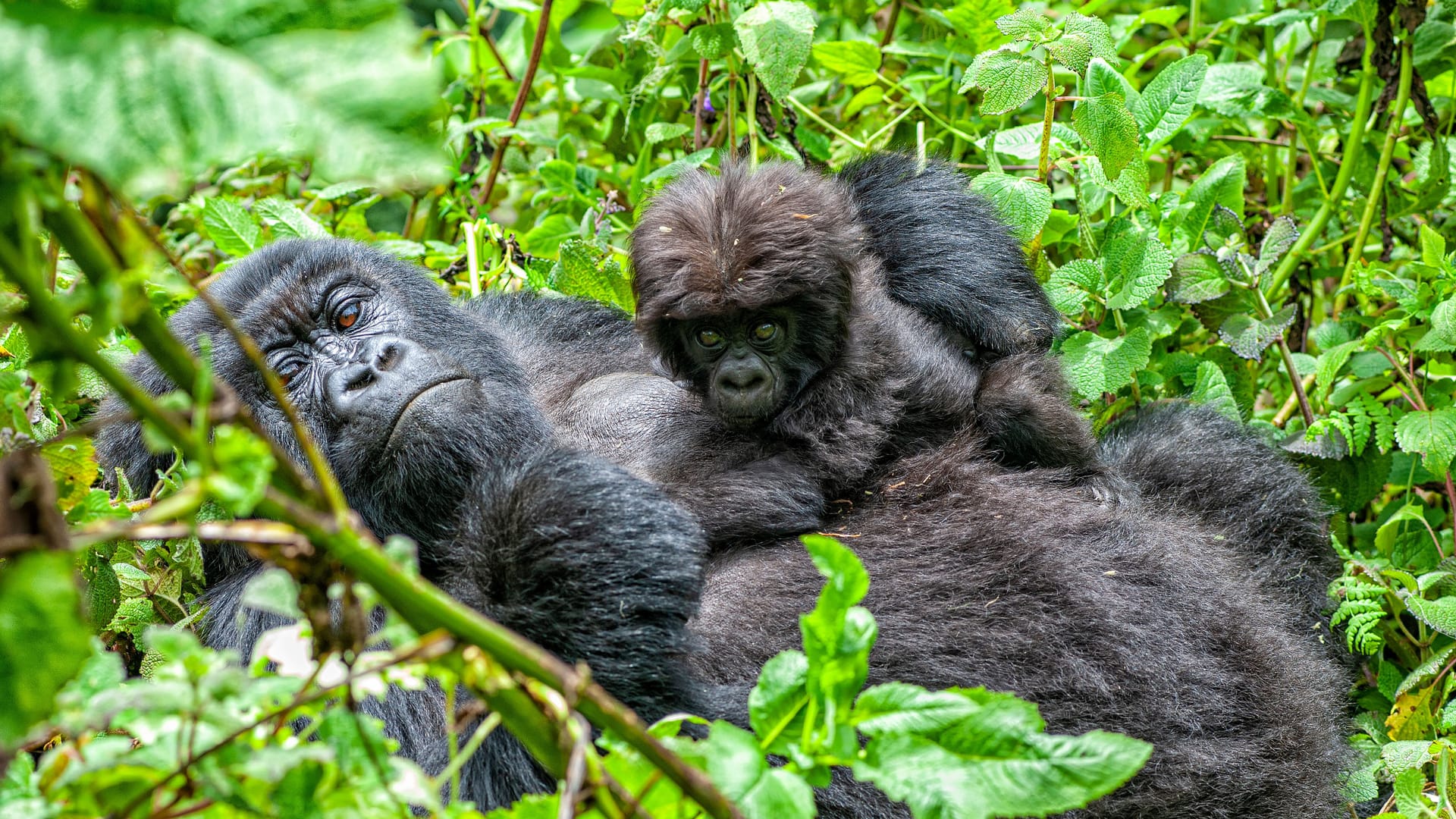 1357861614 1357861614