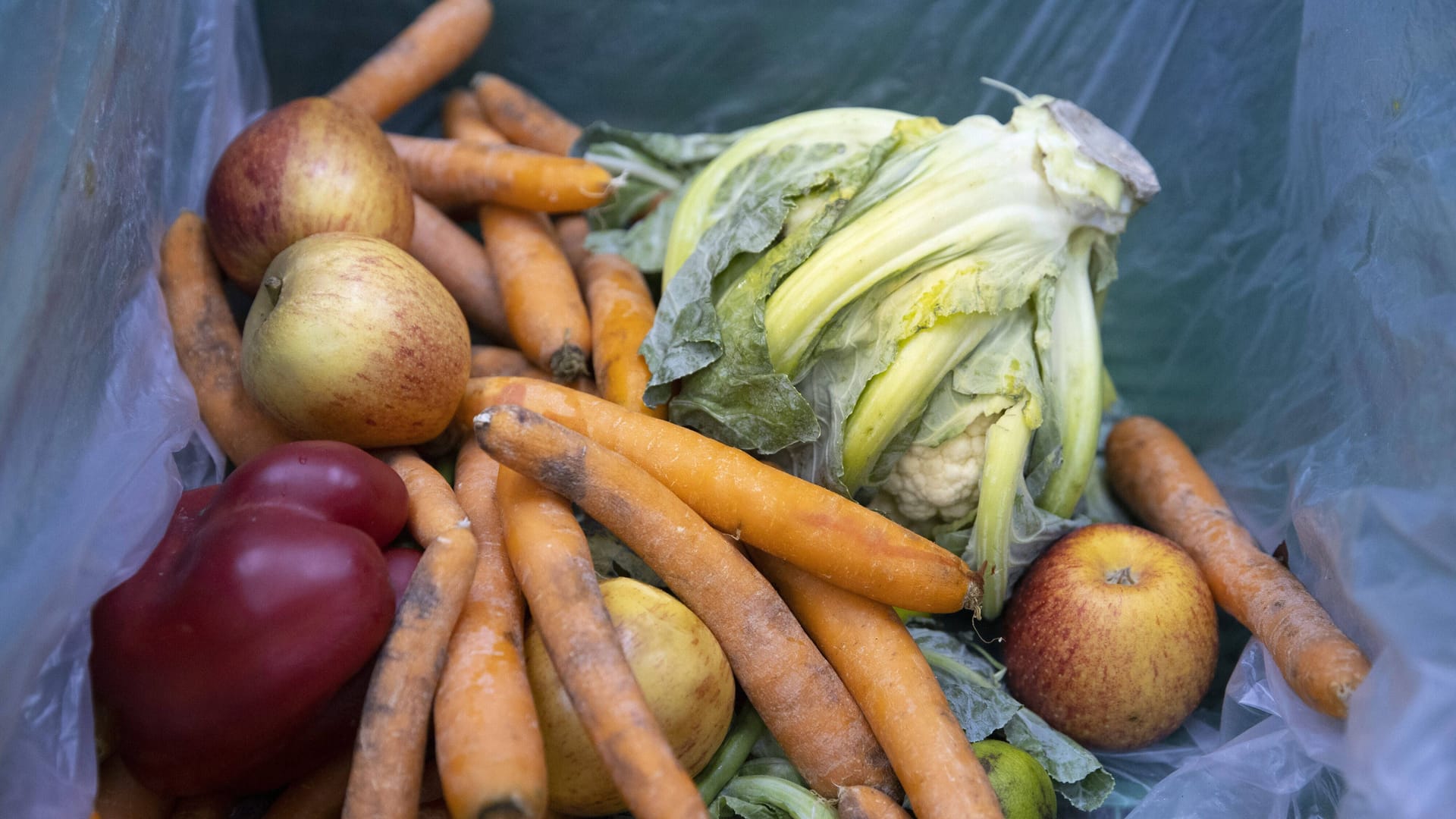 Gemüse im Mülleimer (Symbolfoto): Wenn Urlauber aus Ferienhäusern abreisen, bleibt oft viel im Kühlschrank.