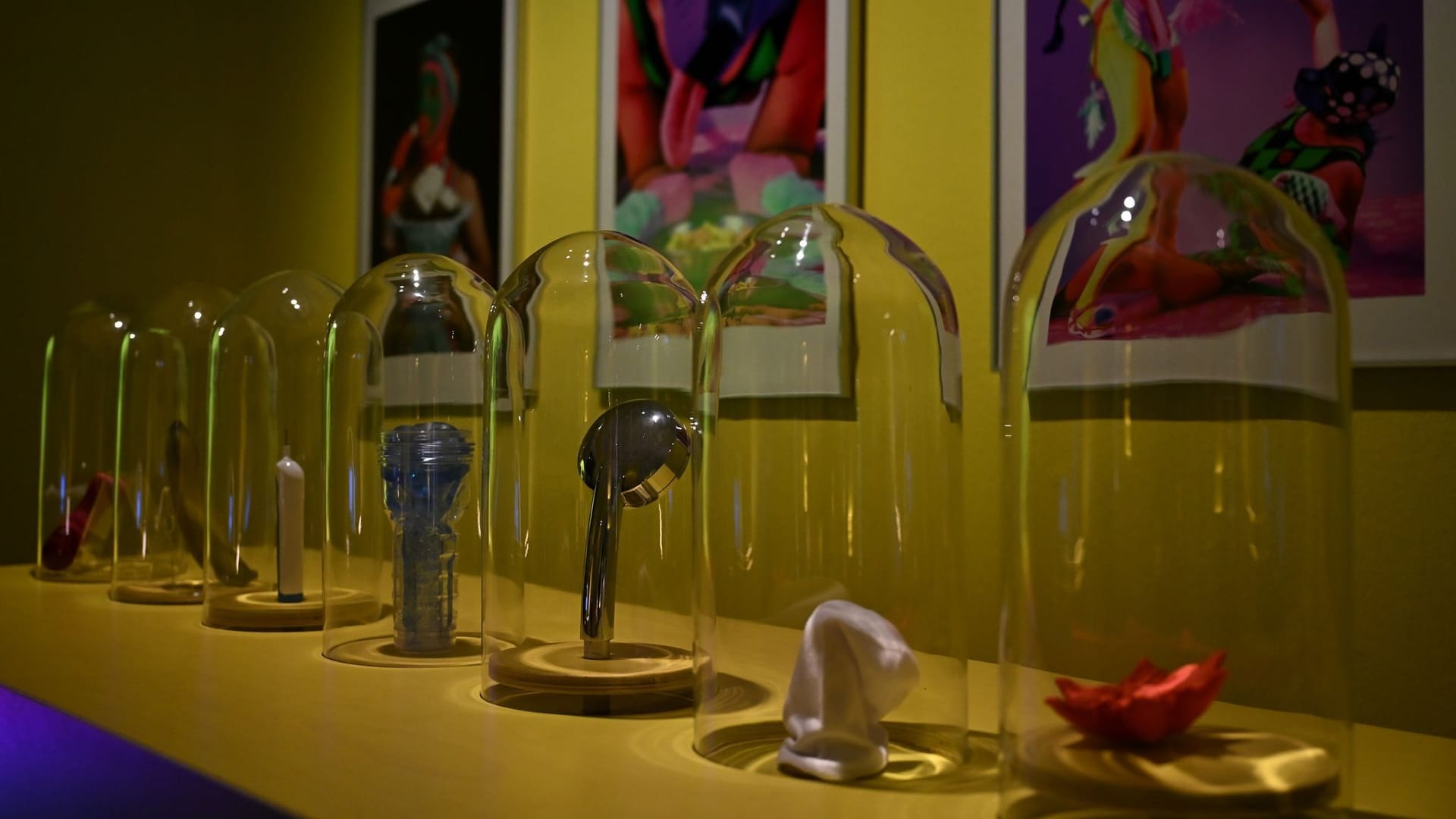 Alltagsgeräte neben Sexspielzeuge: Die Ausstellung kann von Menschen ab 14 Jahren besucht werden. Alltagsgeräte neben Sexspielzeuge: Die Ausstellung kann von Menschen ab 14 Jahren besucht werden.