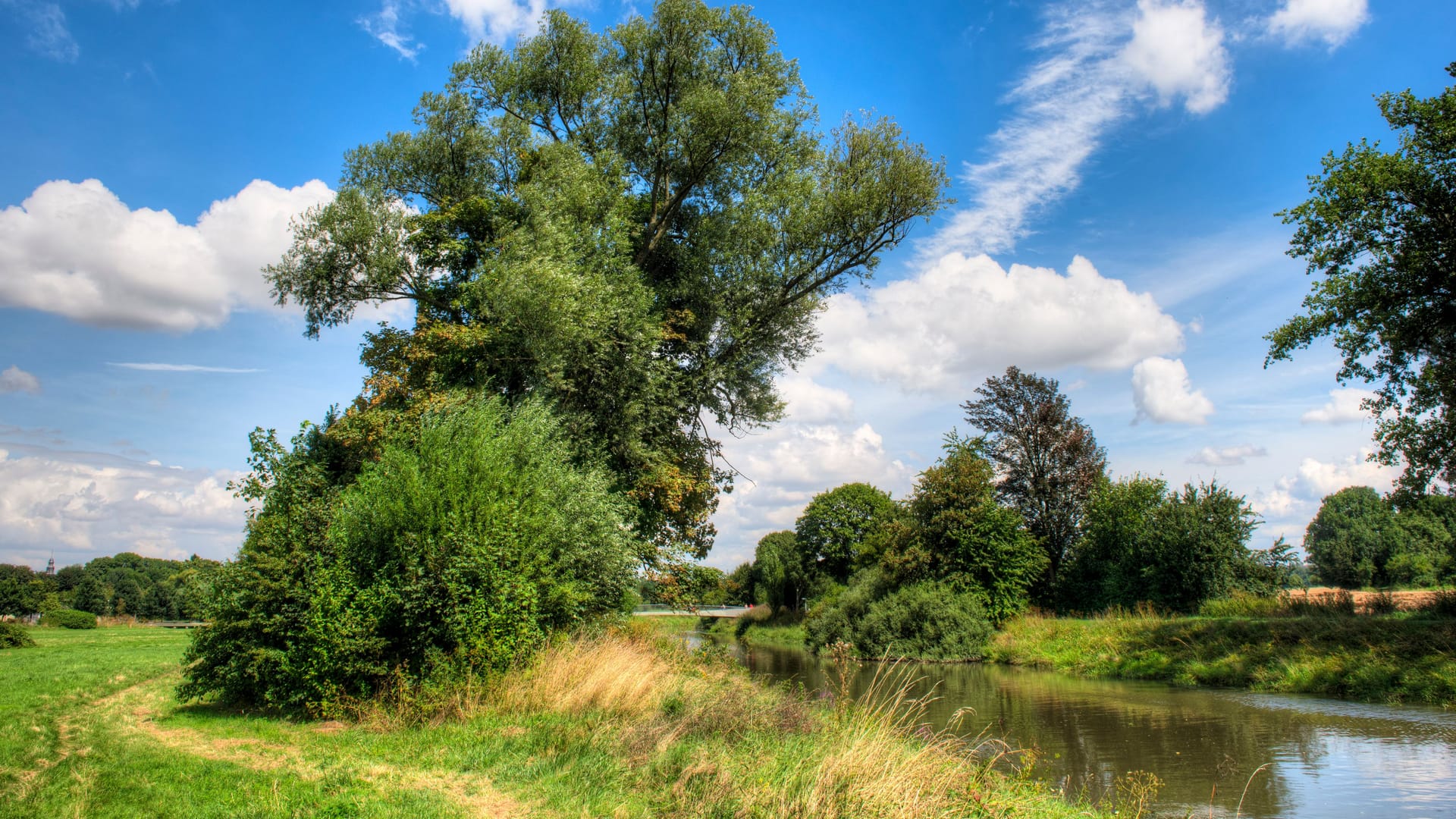 The river Nidda with its natural banks and riverside plants and trees in a local recreation area in Frankfurt am Main in sunny weather in summer The river Nidda with its natural banks and riverside plants and trees in a local recreation area in Frankfurt am Main in sunny weather in summer