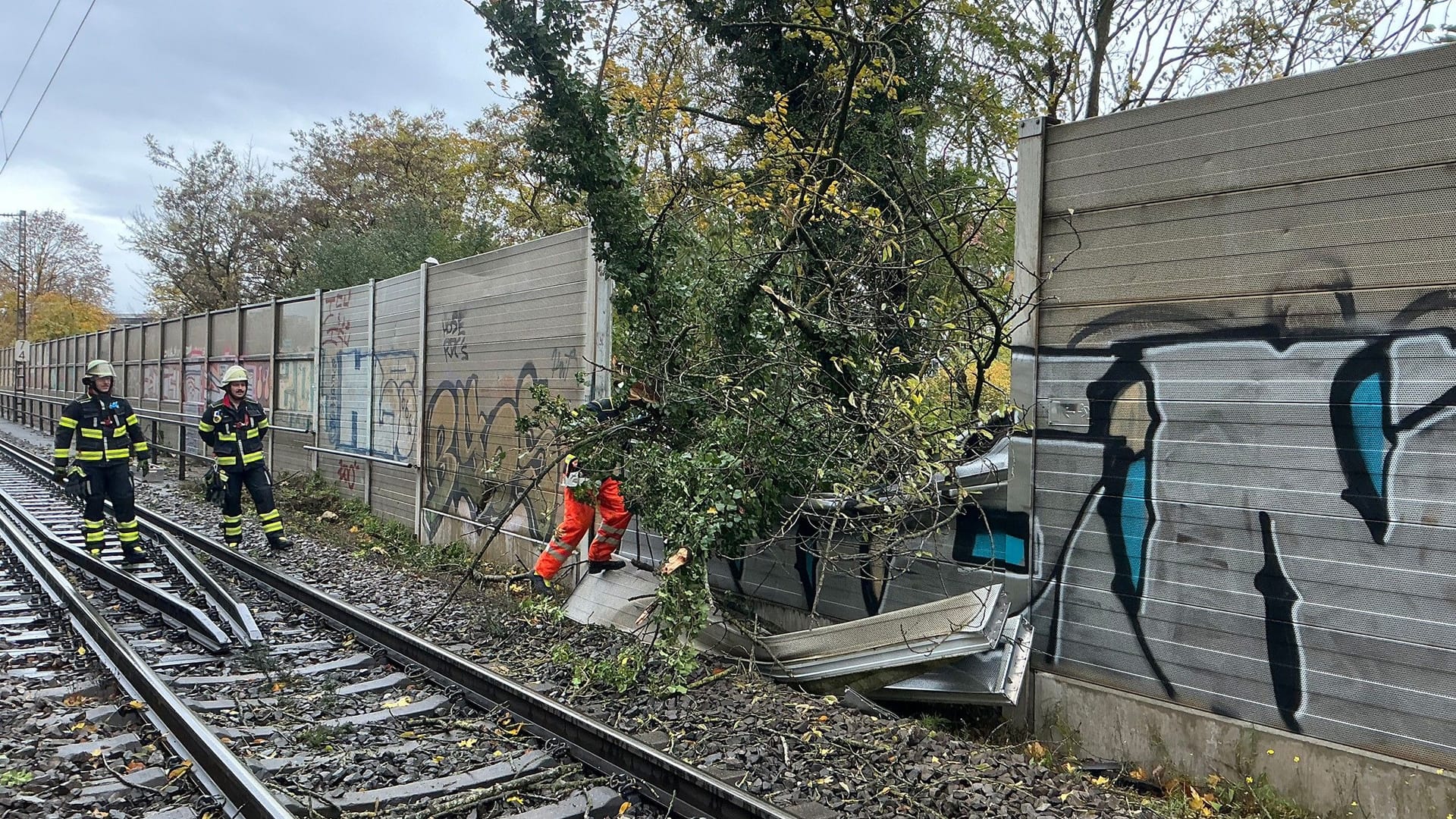 Der umgestürzte Baum: Bevor er den Zug traf, drückte er eine Lärmschutzwand ein. Der umgestürzte Baum: Bevor er den Zug traf, drückte er eine Lärmschutzwand ein.